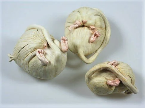 Harvest mouse group resized.jpg