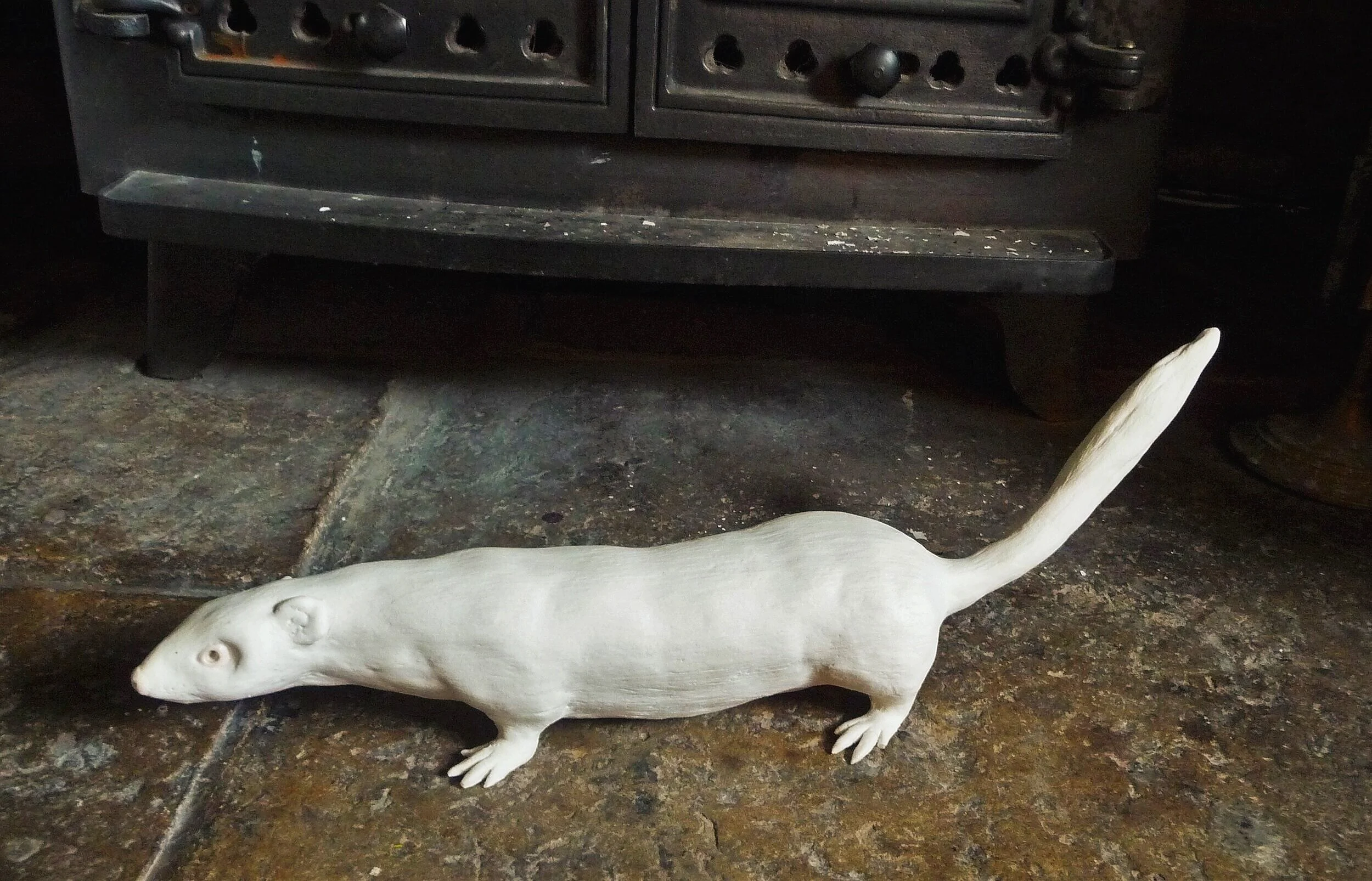 ferret.jpg