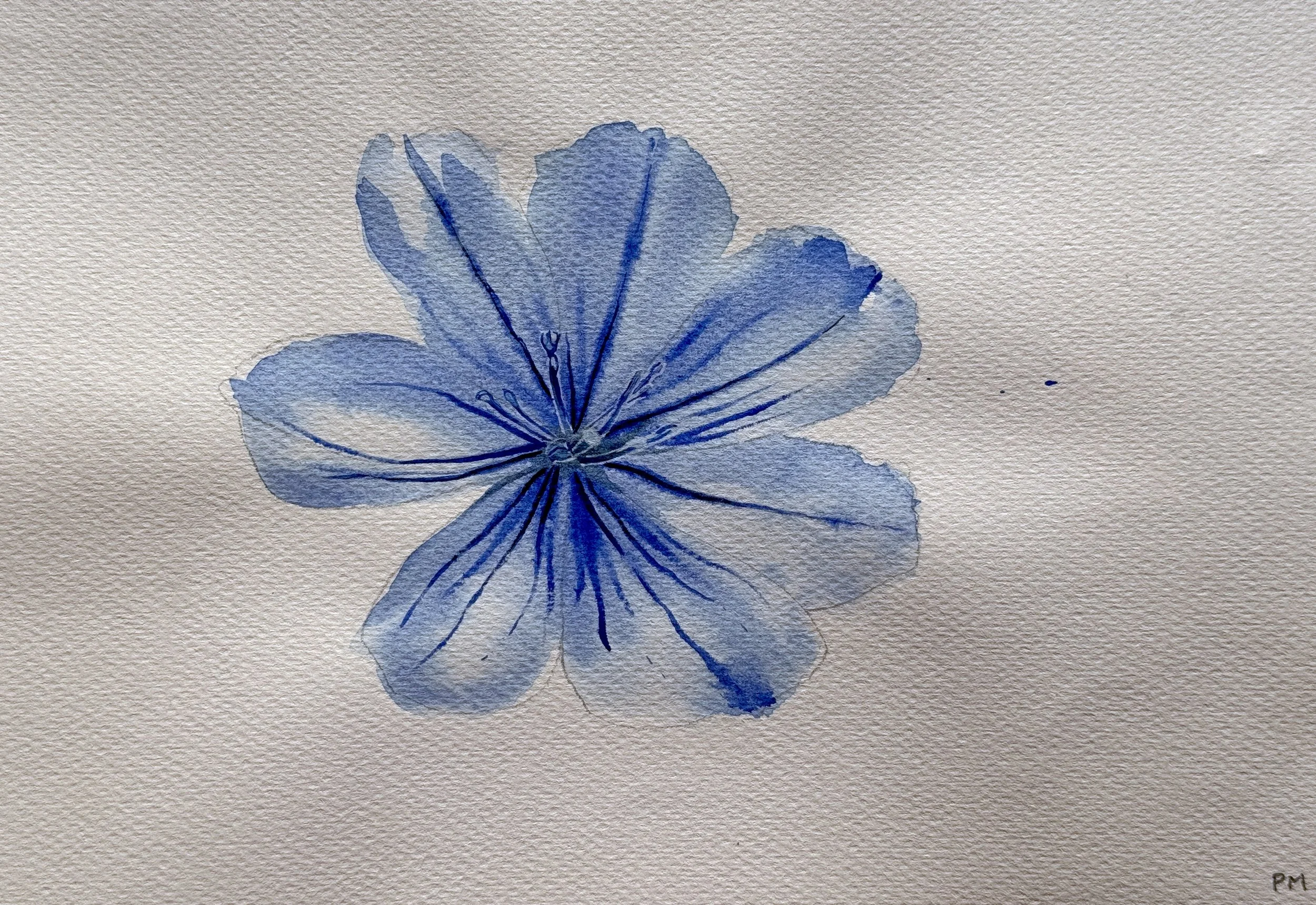 Flower 1.jpeg