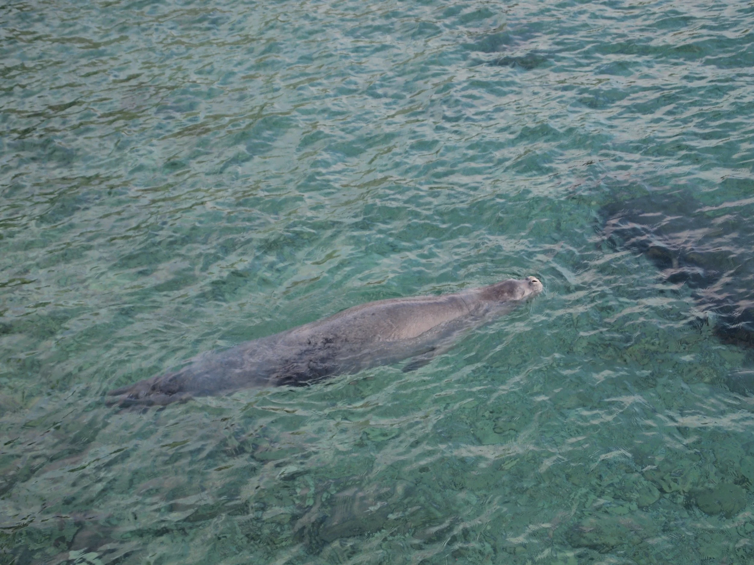 The importance of maintaining biodiversity