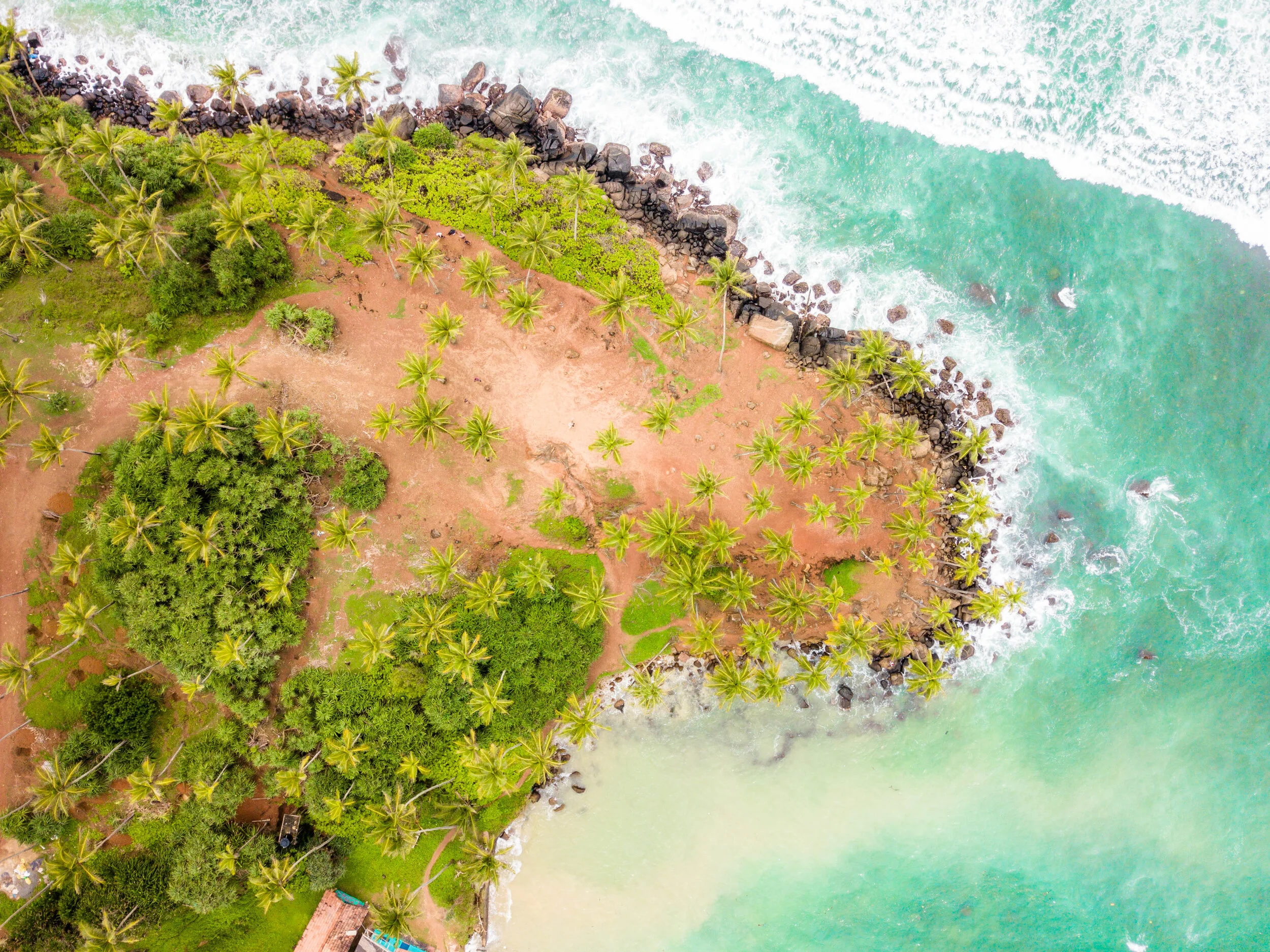 Coconut Tree Hill | Sri Lanka