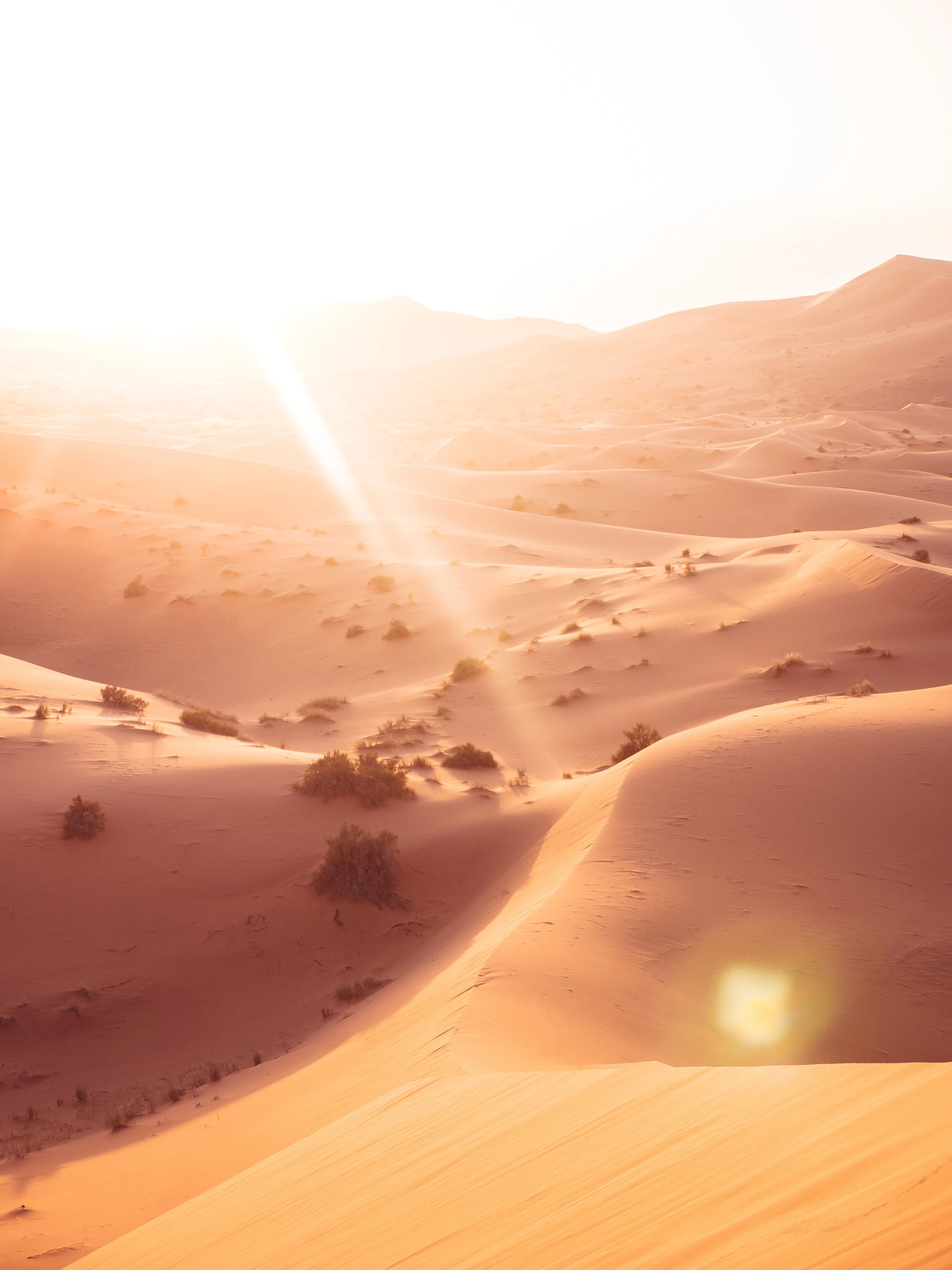 Sahara Desert | Morocco