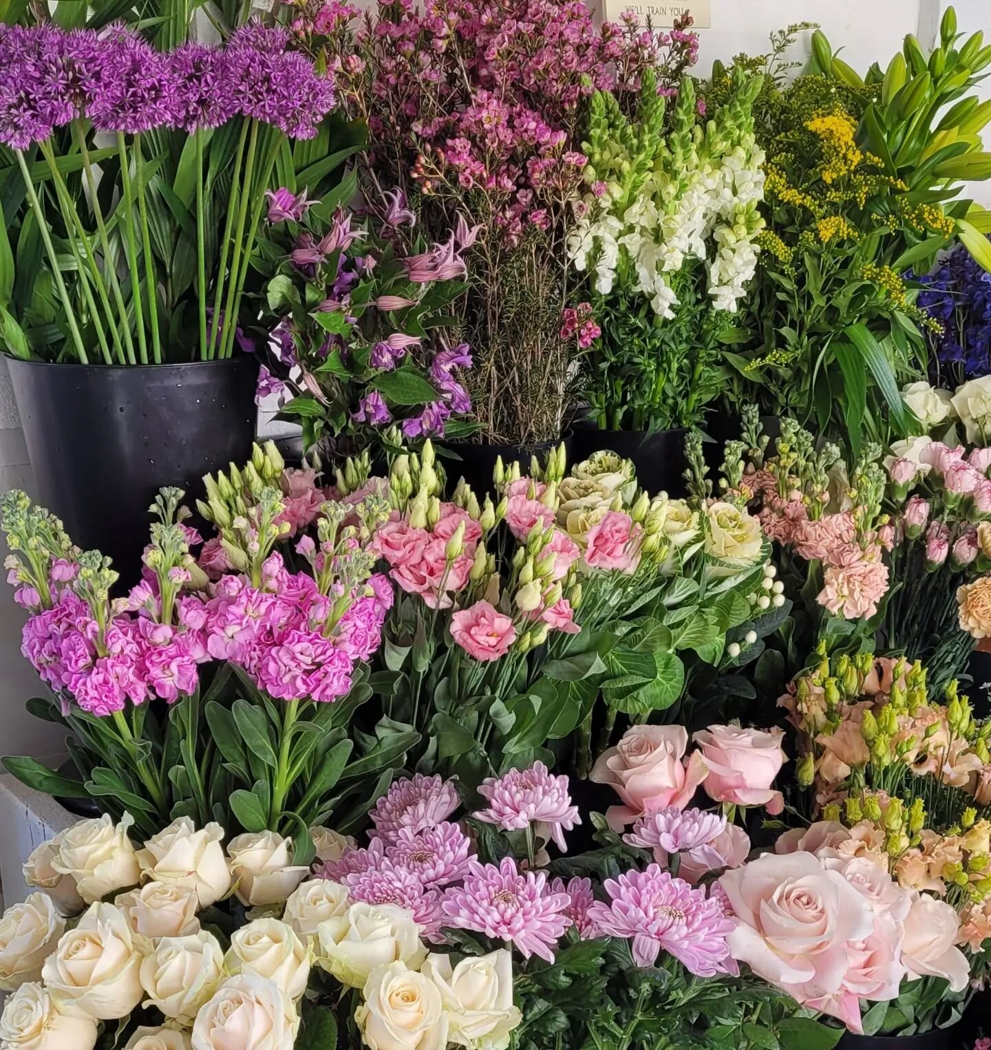 We are back to work today after a long weekend in Devon catching up with family. Nice to have a full flower stand #flowerdeliveries #flowersforeveryone #flowerstand