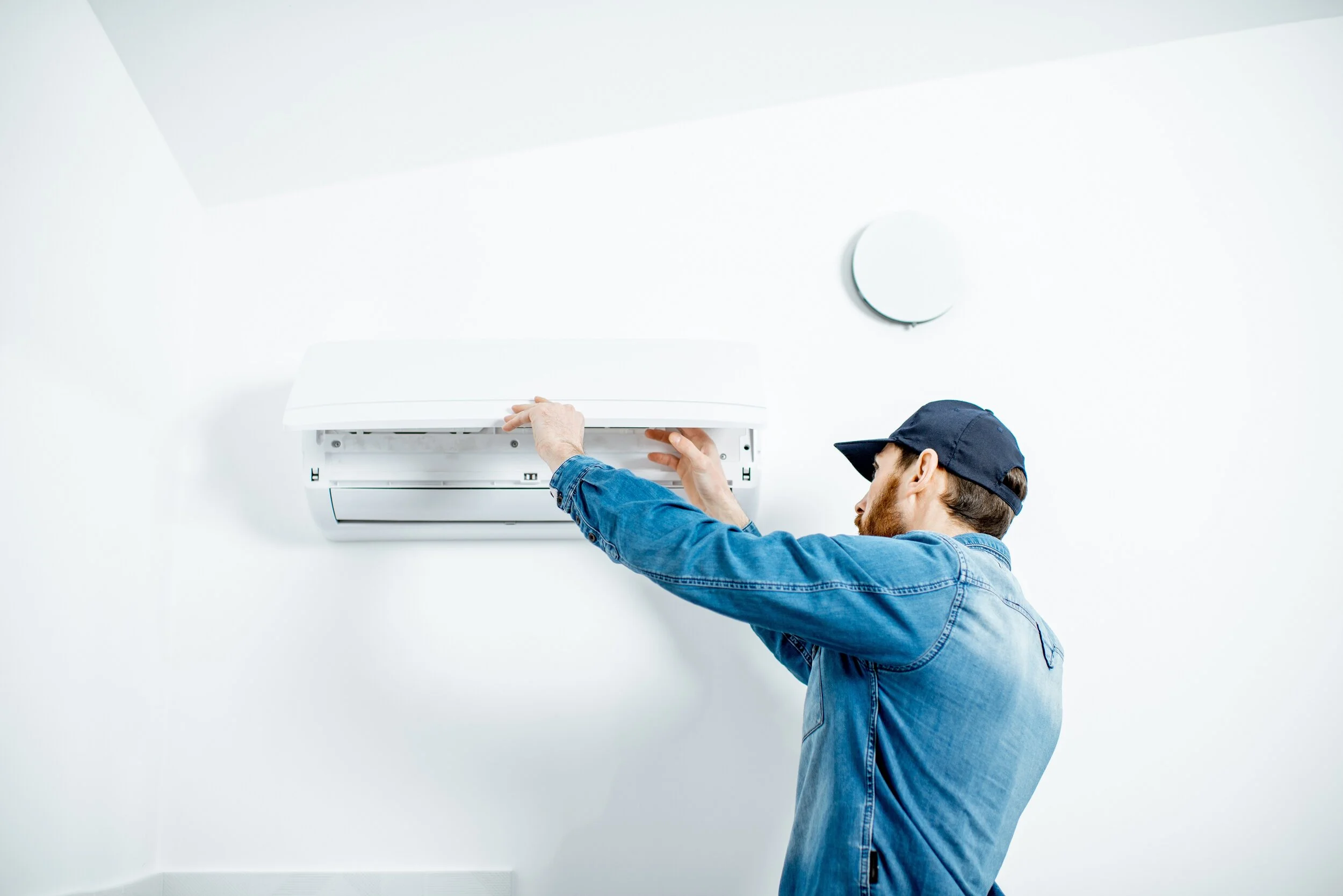 Domestic_AdobeStock_252806535_MR.jpg