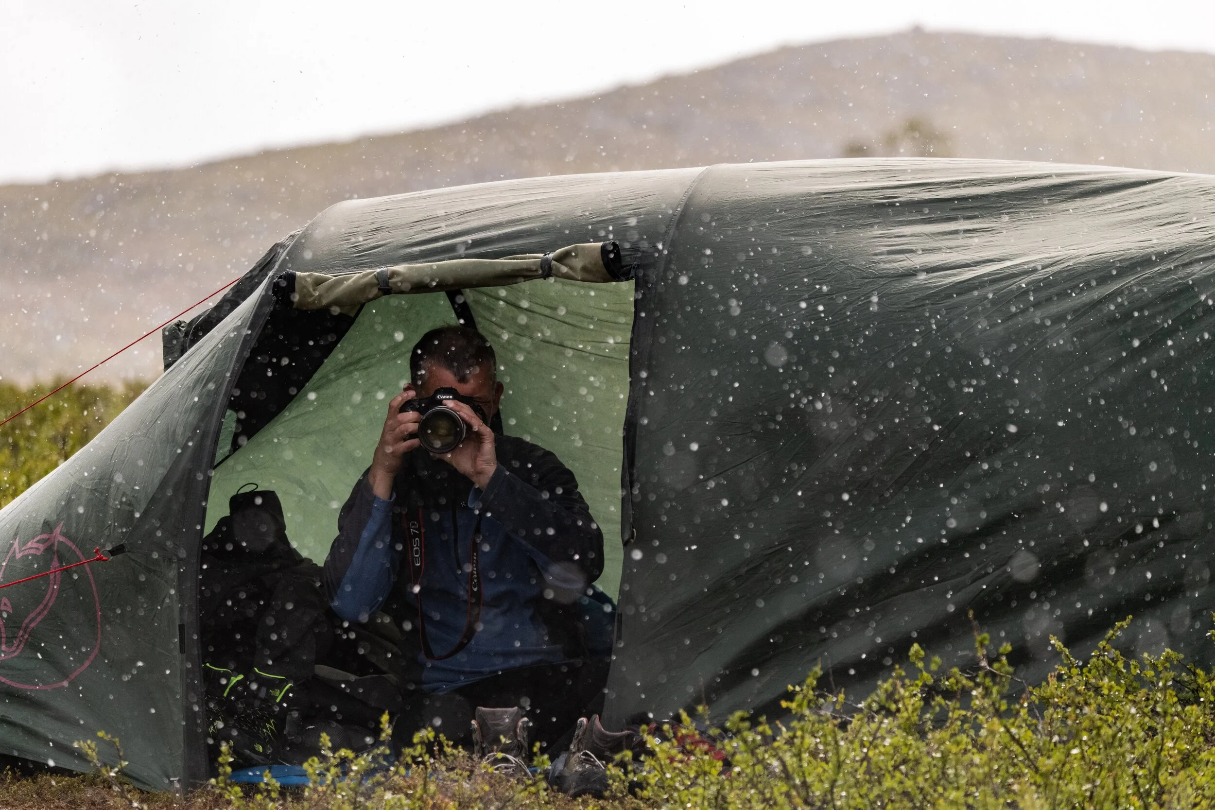 Midsummer in Lappland