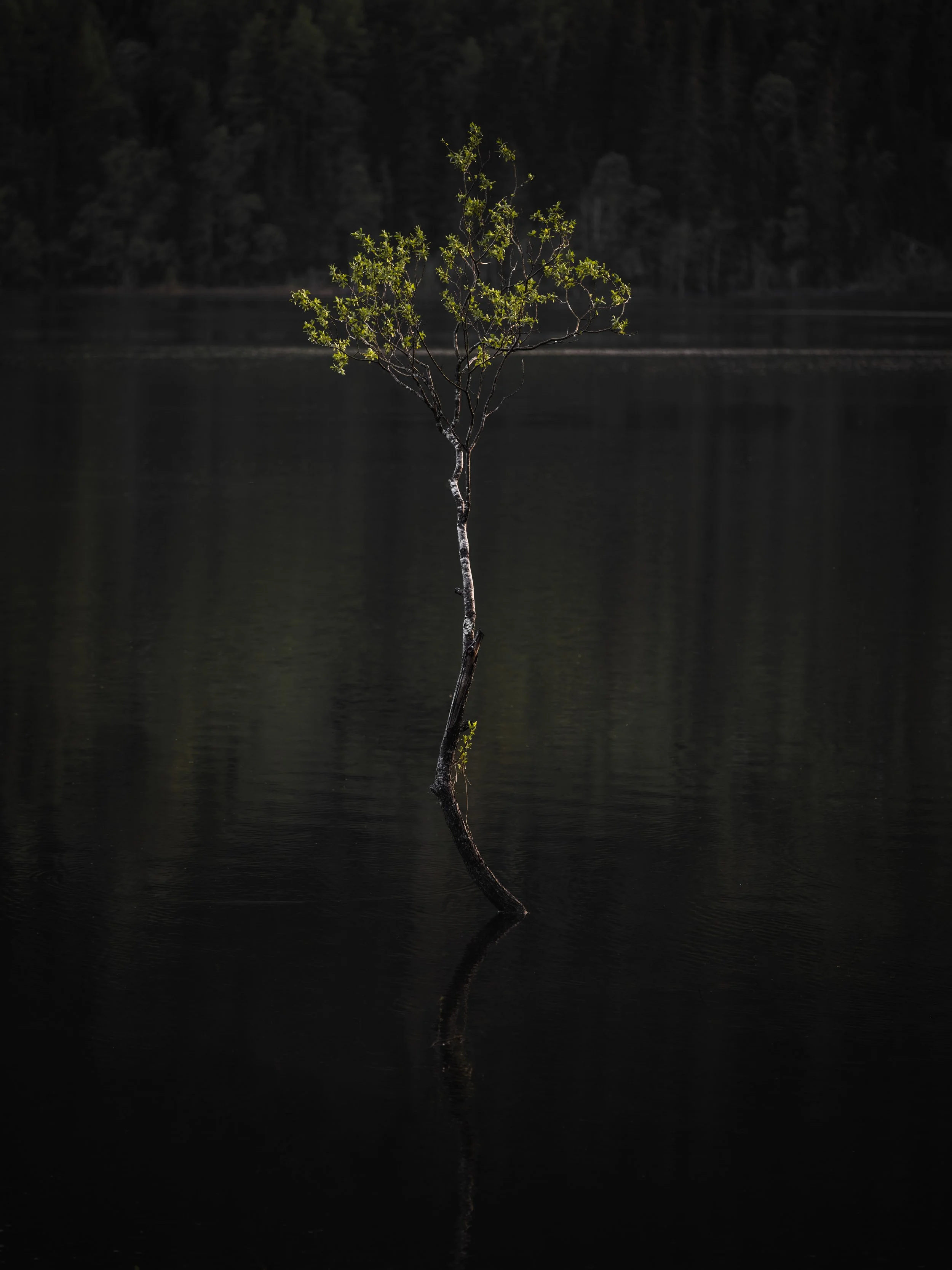 Åre_juni22.jpg