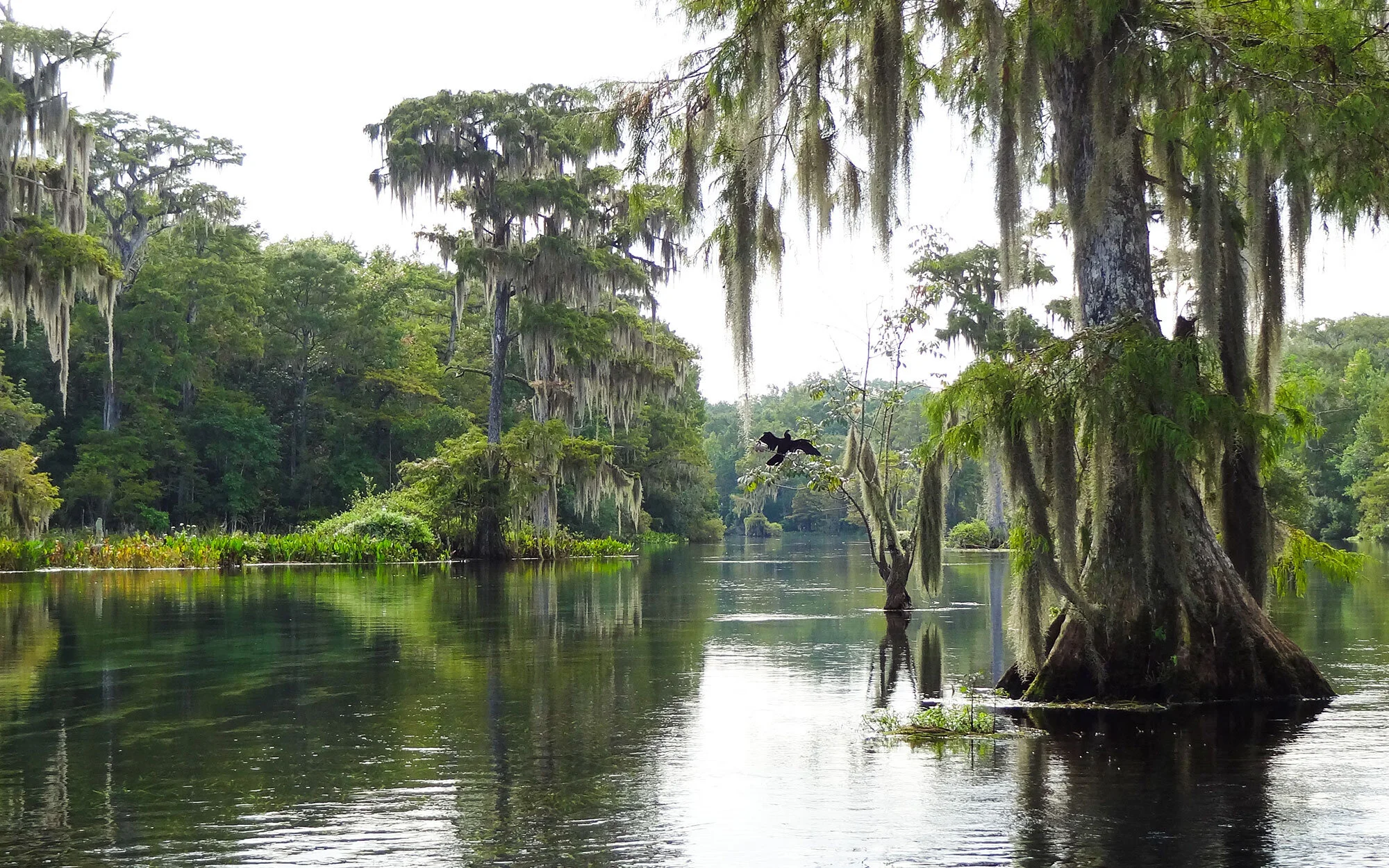 Florida.jpg