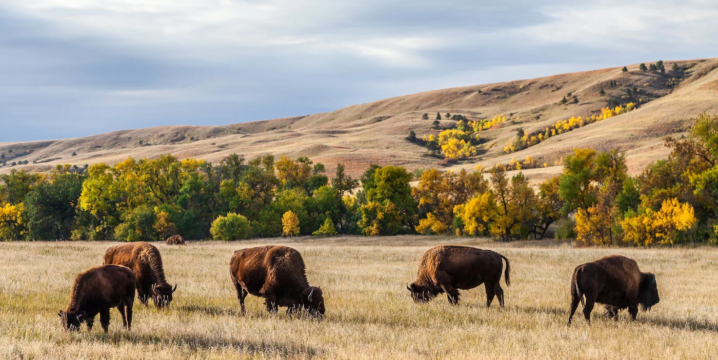 North Dakota.jpg