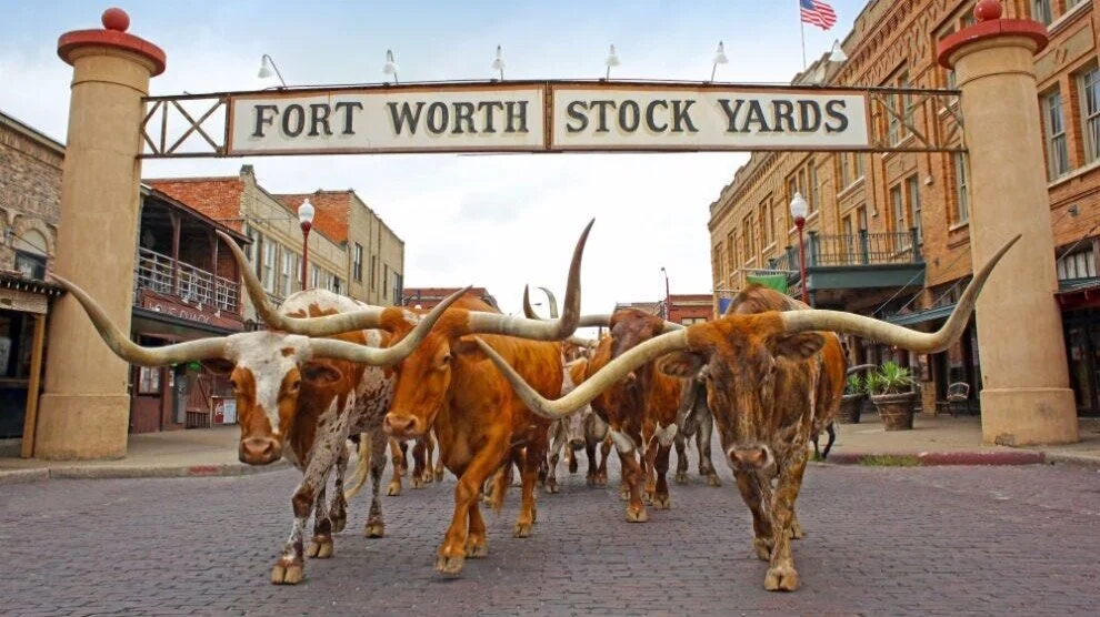 Texas.jpg