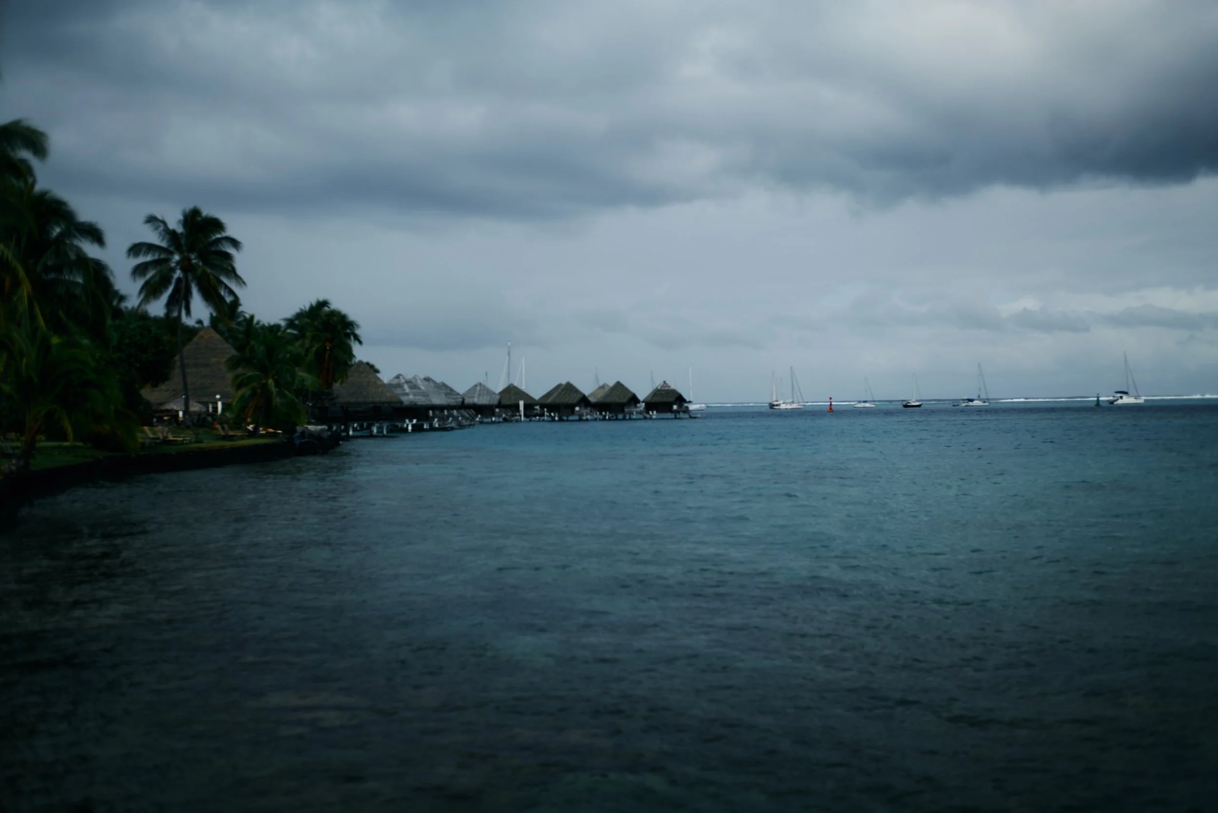 L1030948.jpg