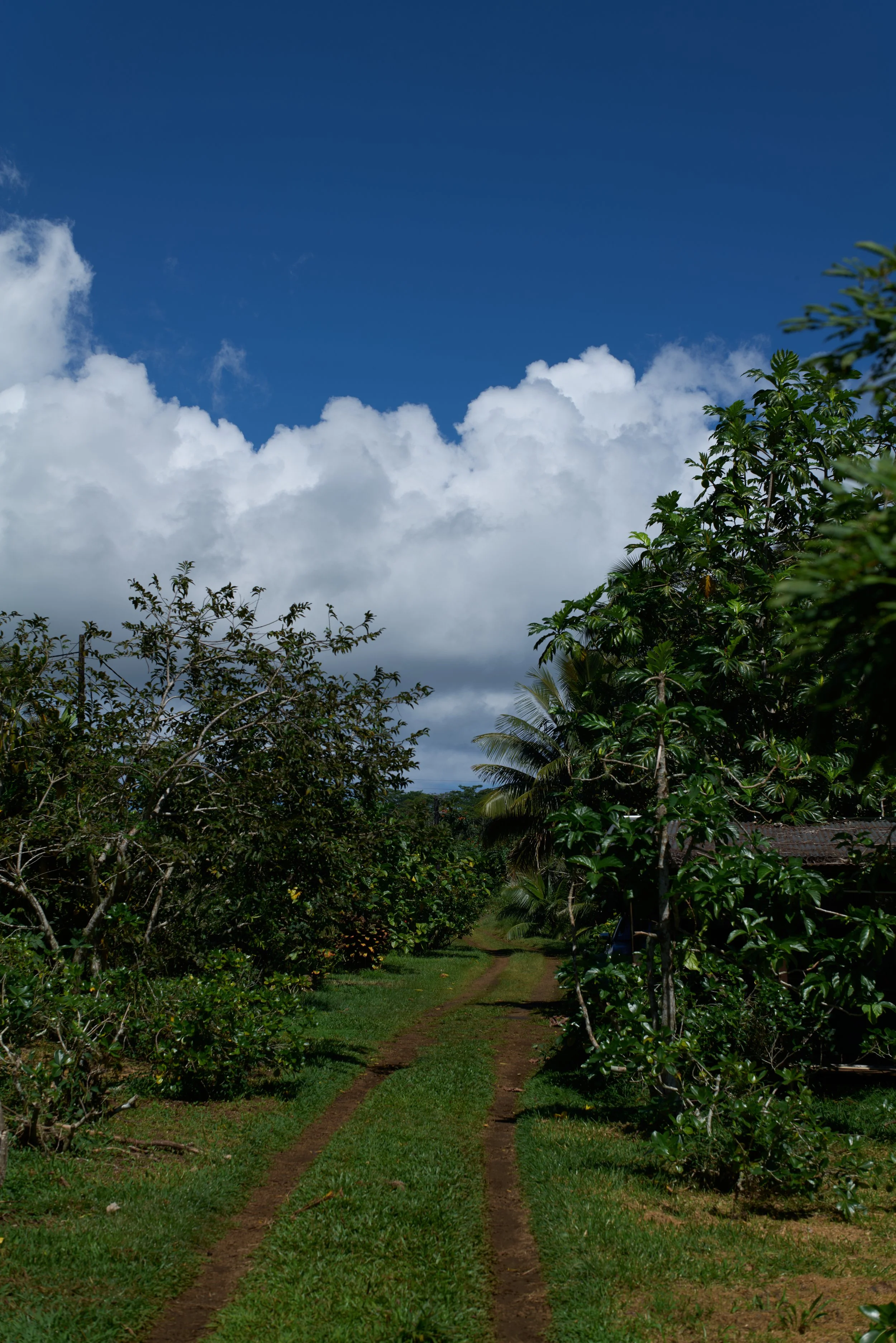 L1030757.jpg