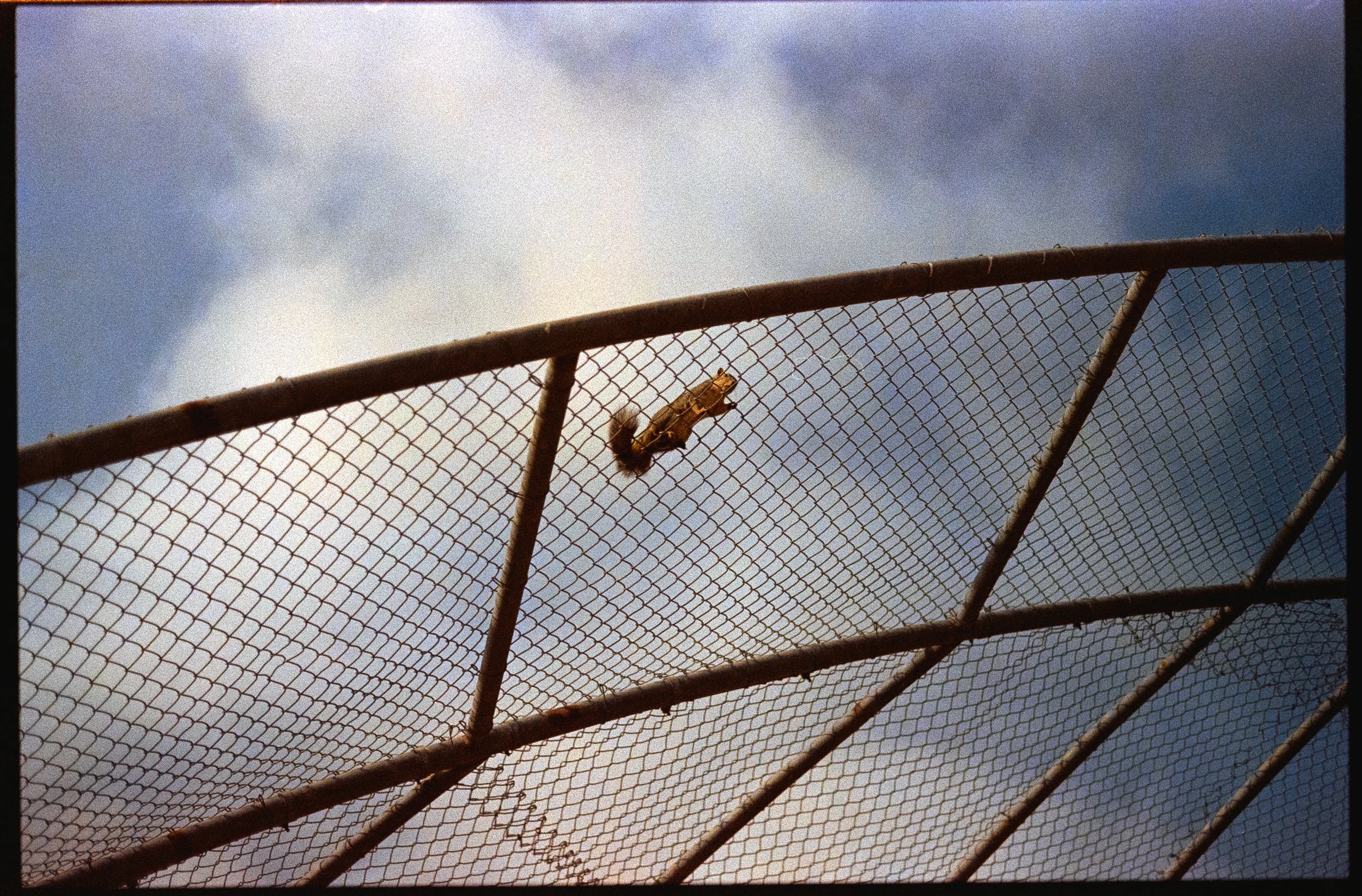 Scanned Film3767.jpg