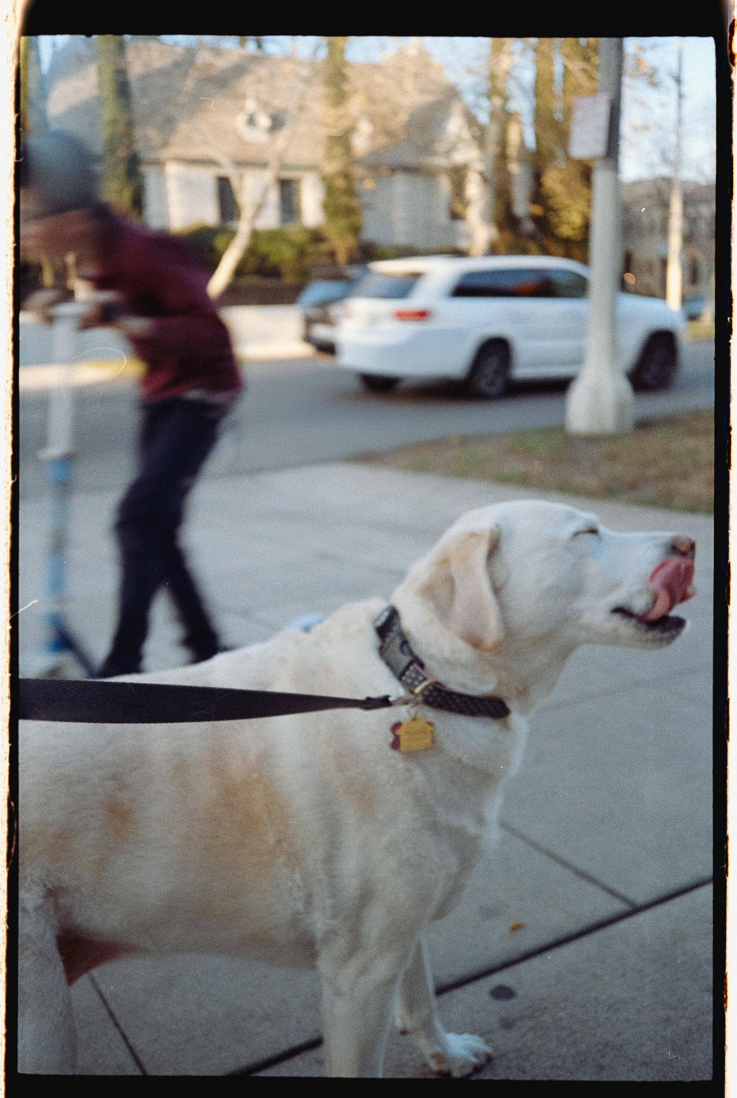 Scanned Film3888.jpg