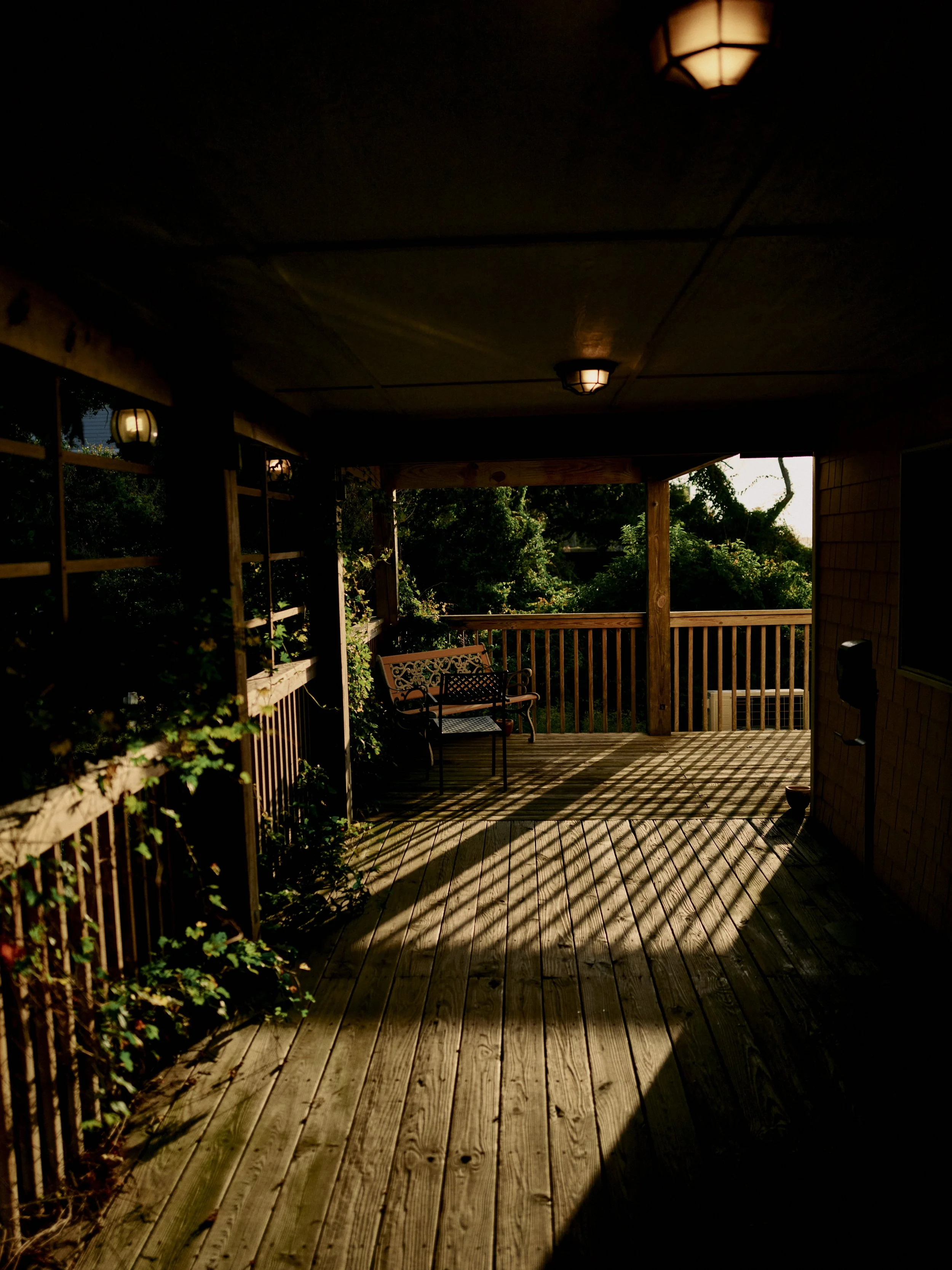 John_Schell_Q1000437 1.jpg