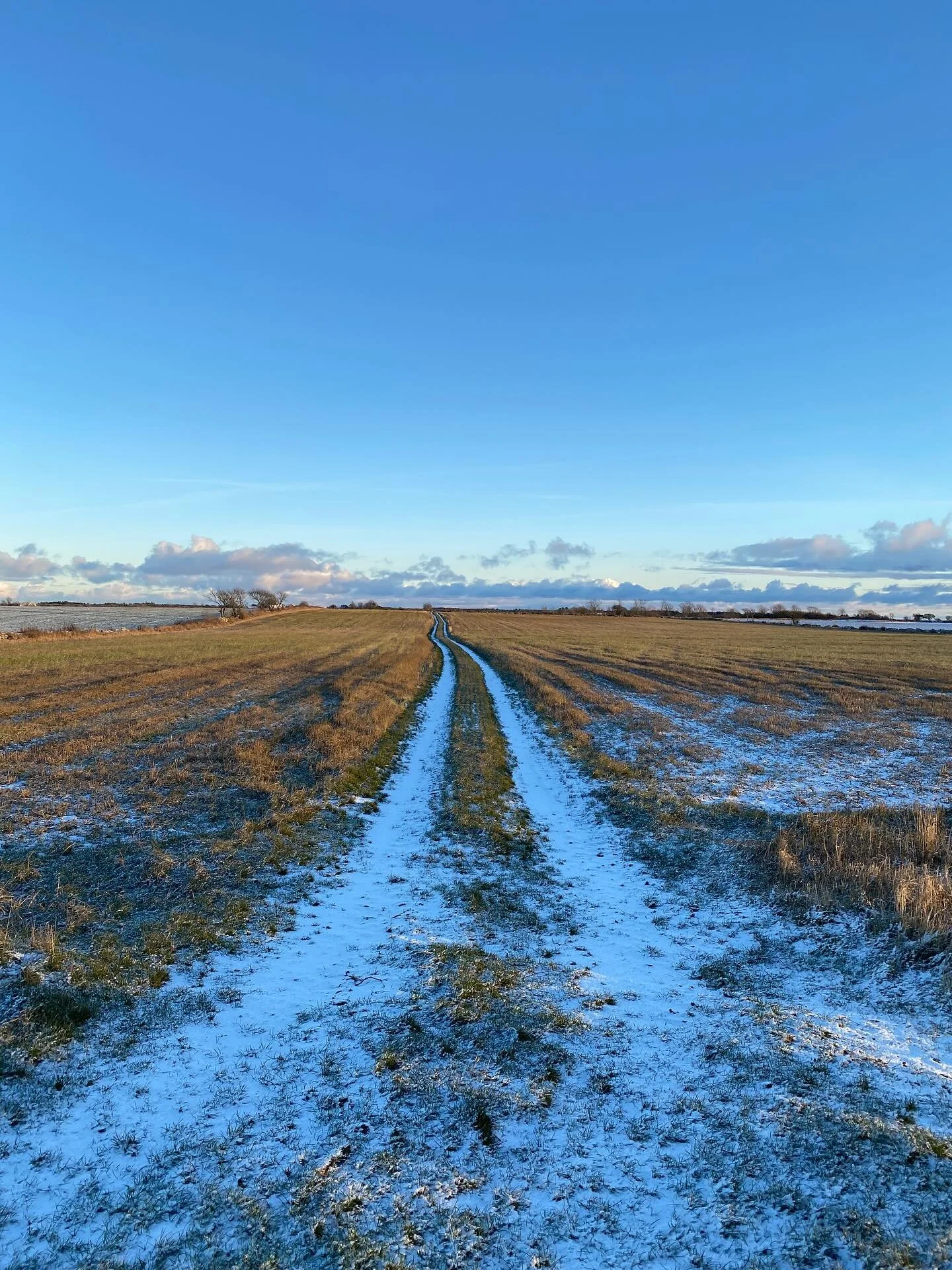 We welcome the new year with gratitude, fresh ideas, and a renewed love for exploration.
Sending warm greetings from Gotland, where we are taking a short pause, drawing inspiration from wild coastlines, Nordic light, and quiet landscapes.

As we look