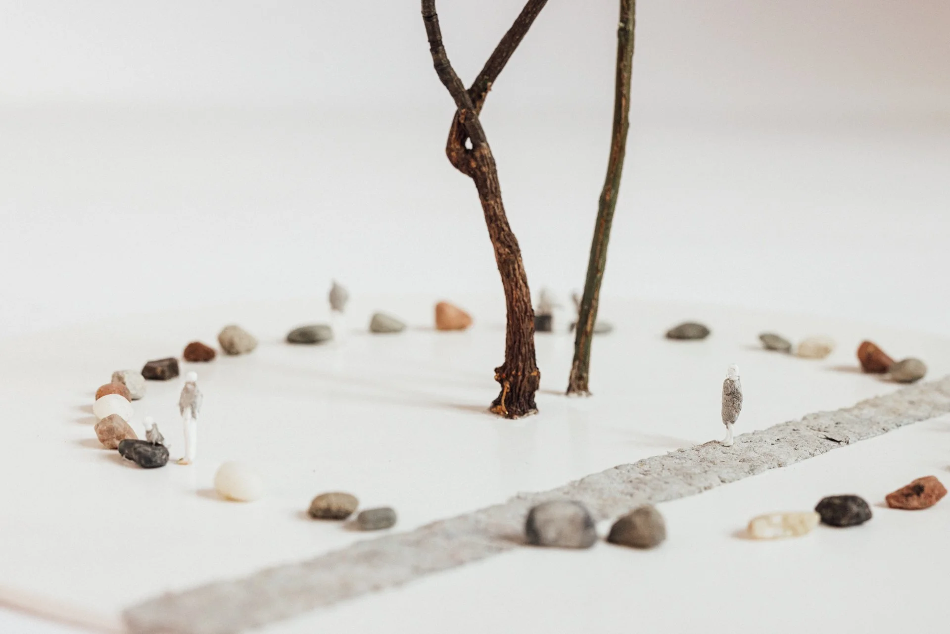 The Circle_LindeHermans_25032024_final-61.jpeg