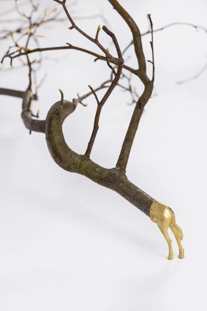 no trees no leaves no lives _ Linde Hermans.jpg