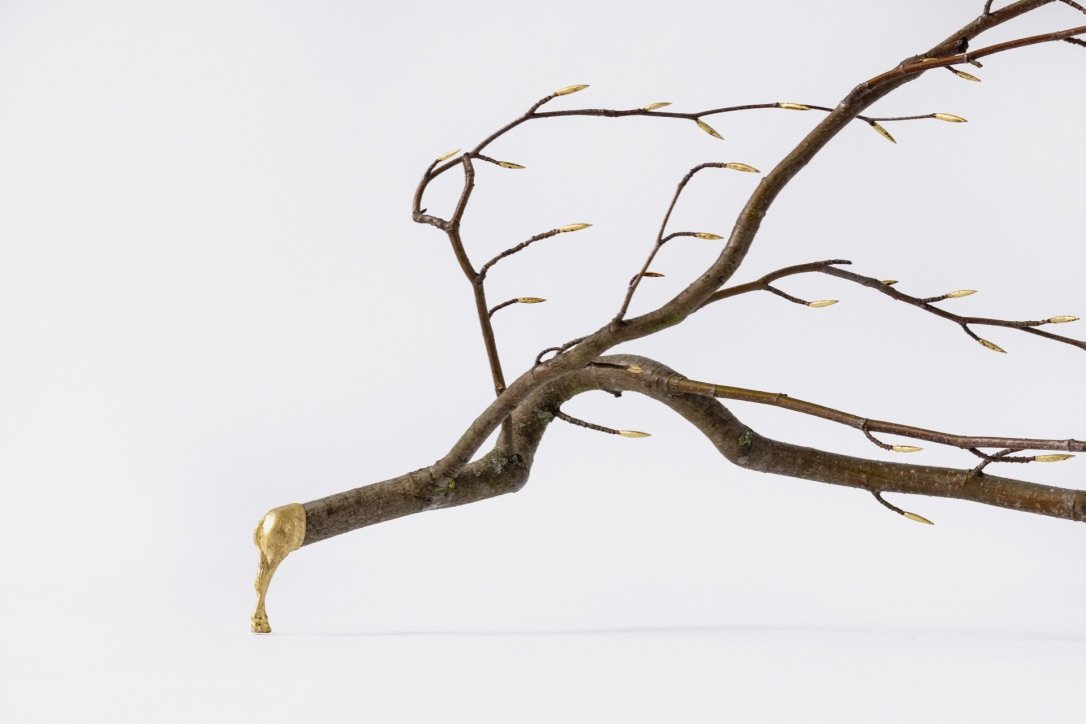 no trees no leaves no lives _ Linde Hermans.jpg