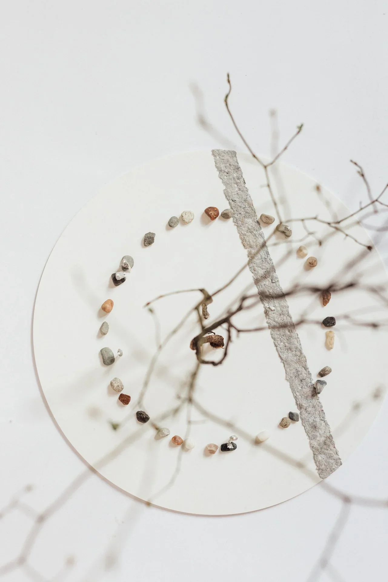 the circle_LindeHermans_25032024.jpeg.webp