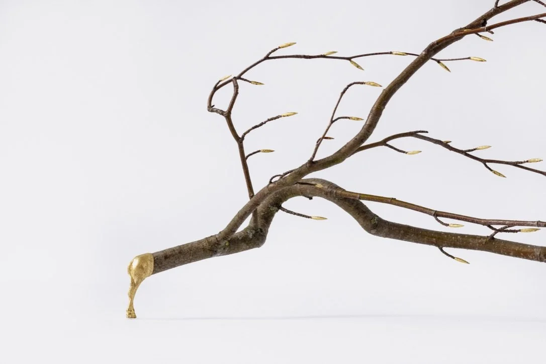 no trees no leaves no life_Linde Hermans.jpg