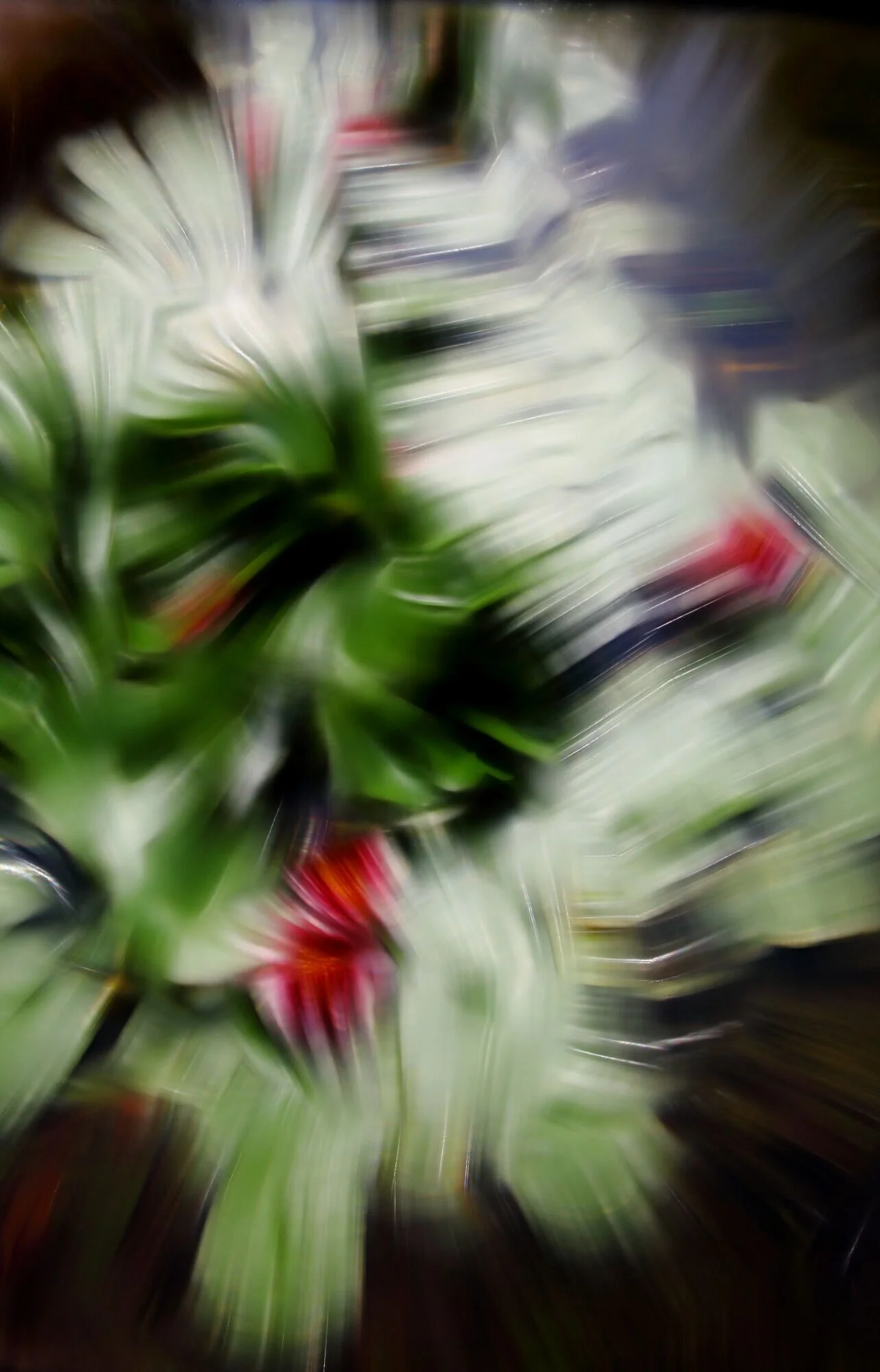 Waterlilies IV, 2012