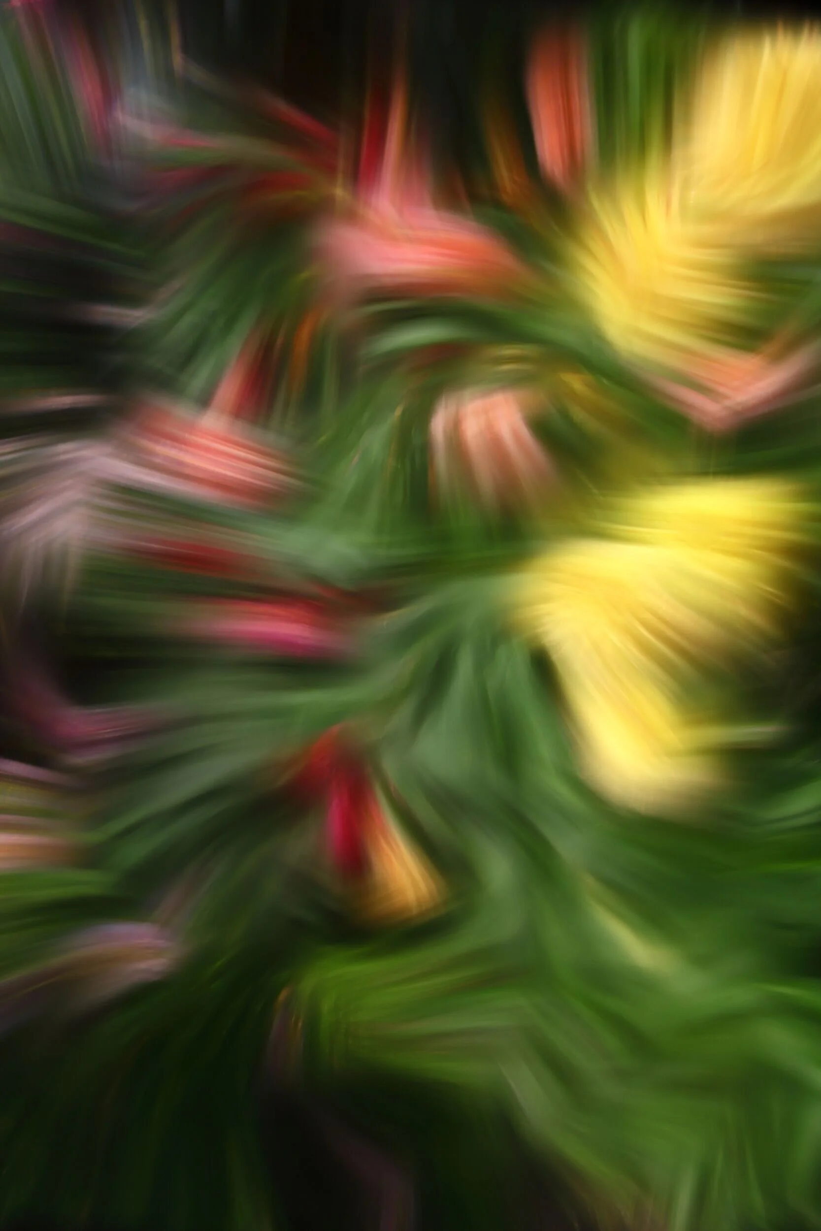 Garden III, 2012