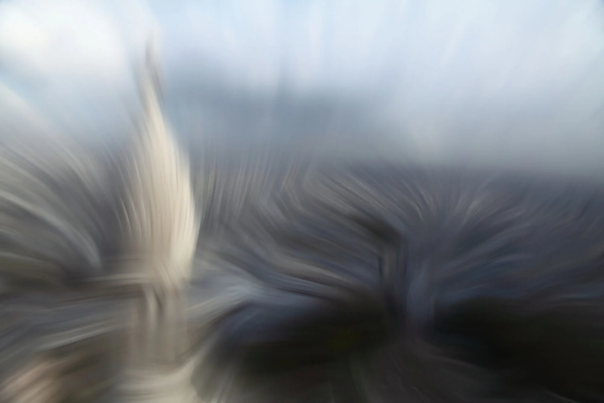 ColSacr 1, 2019