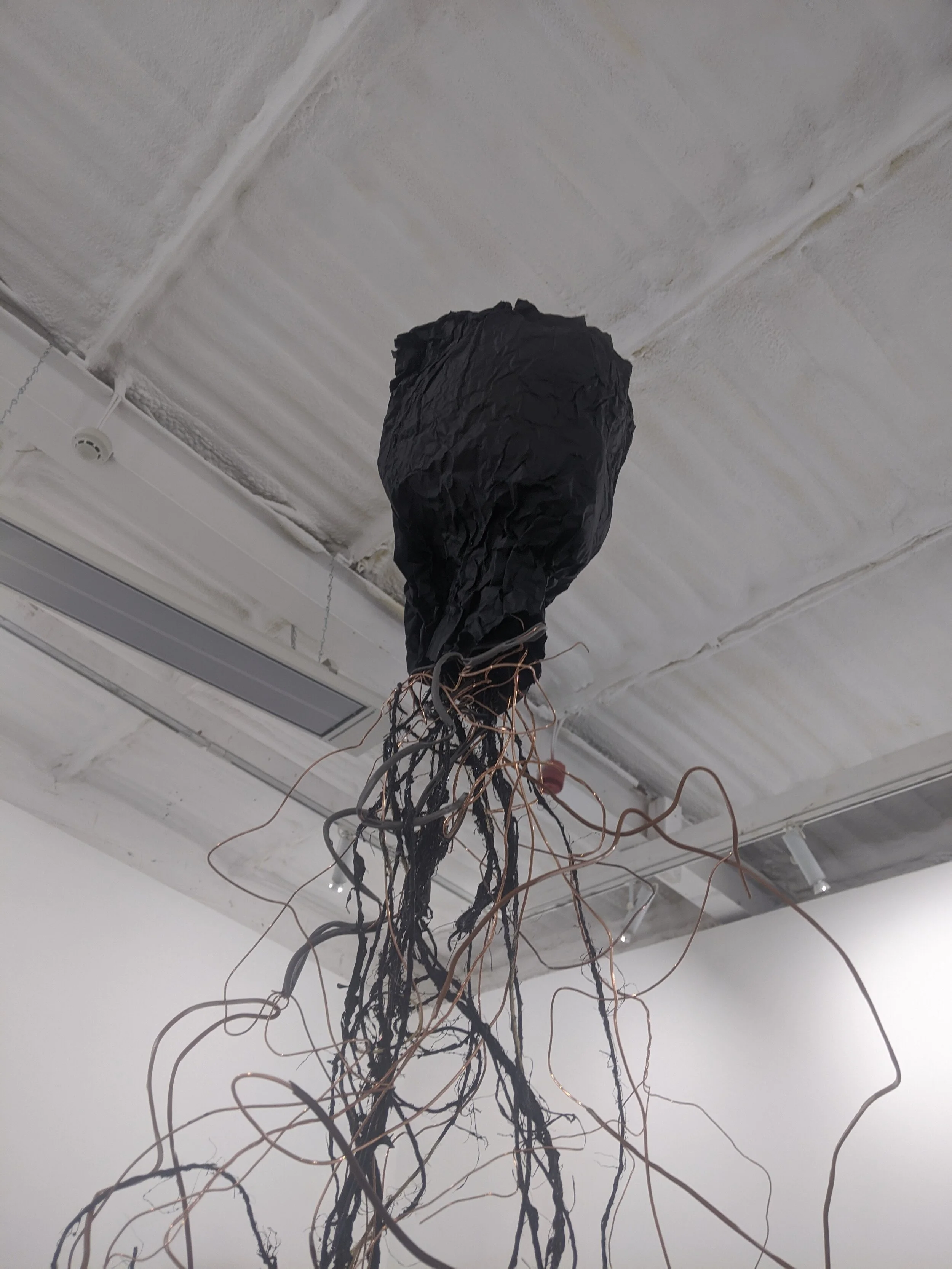 EllIoT2 gallery image.jpg