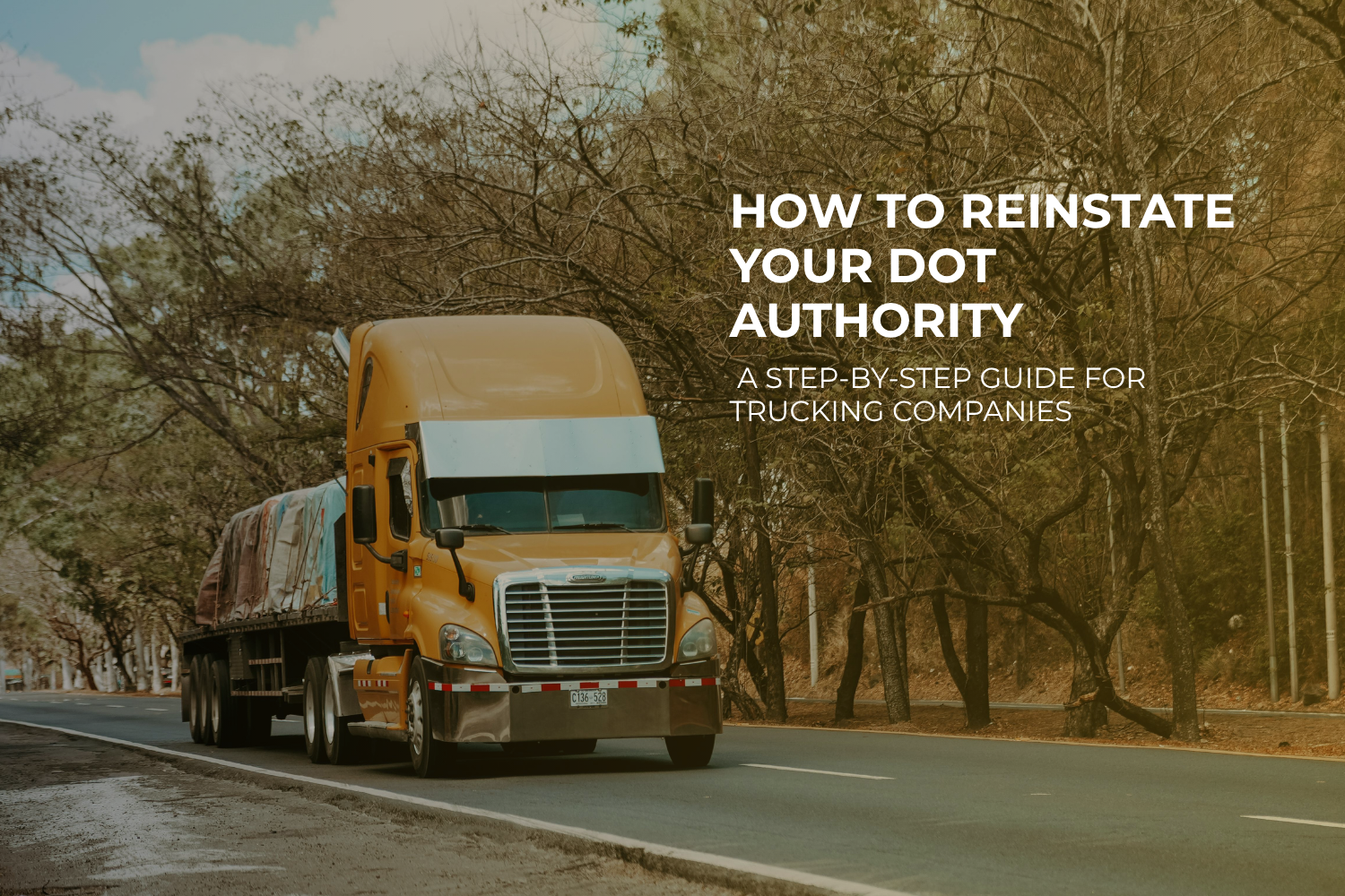 How to Reinstate Your DOT Authority: A Step-by-Step Guide for Trucking Companies