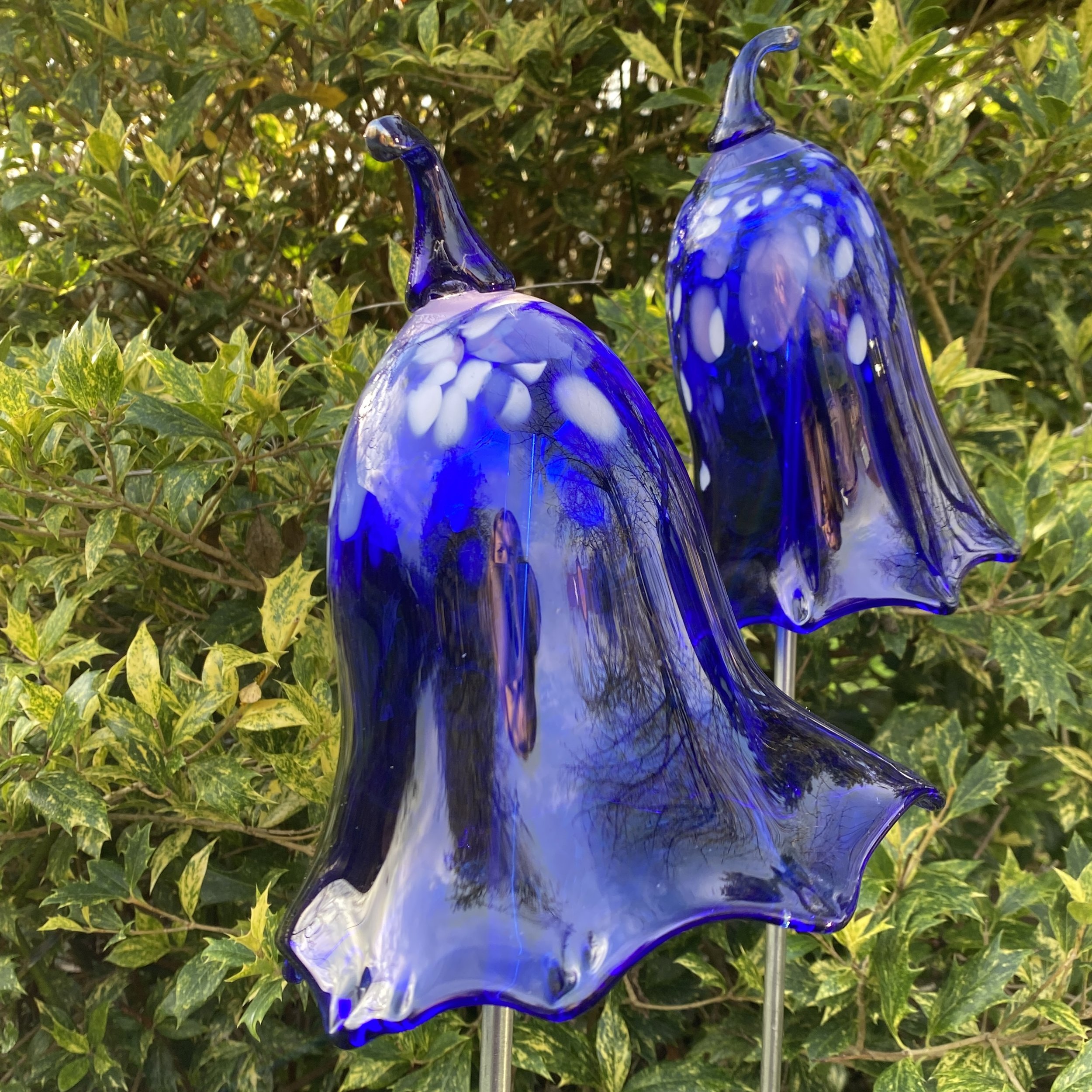 Outdoor Bluebell in Cobalt Blue by Alison Vincent