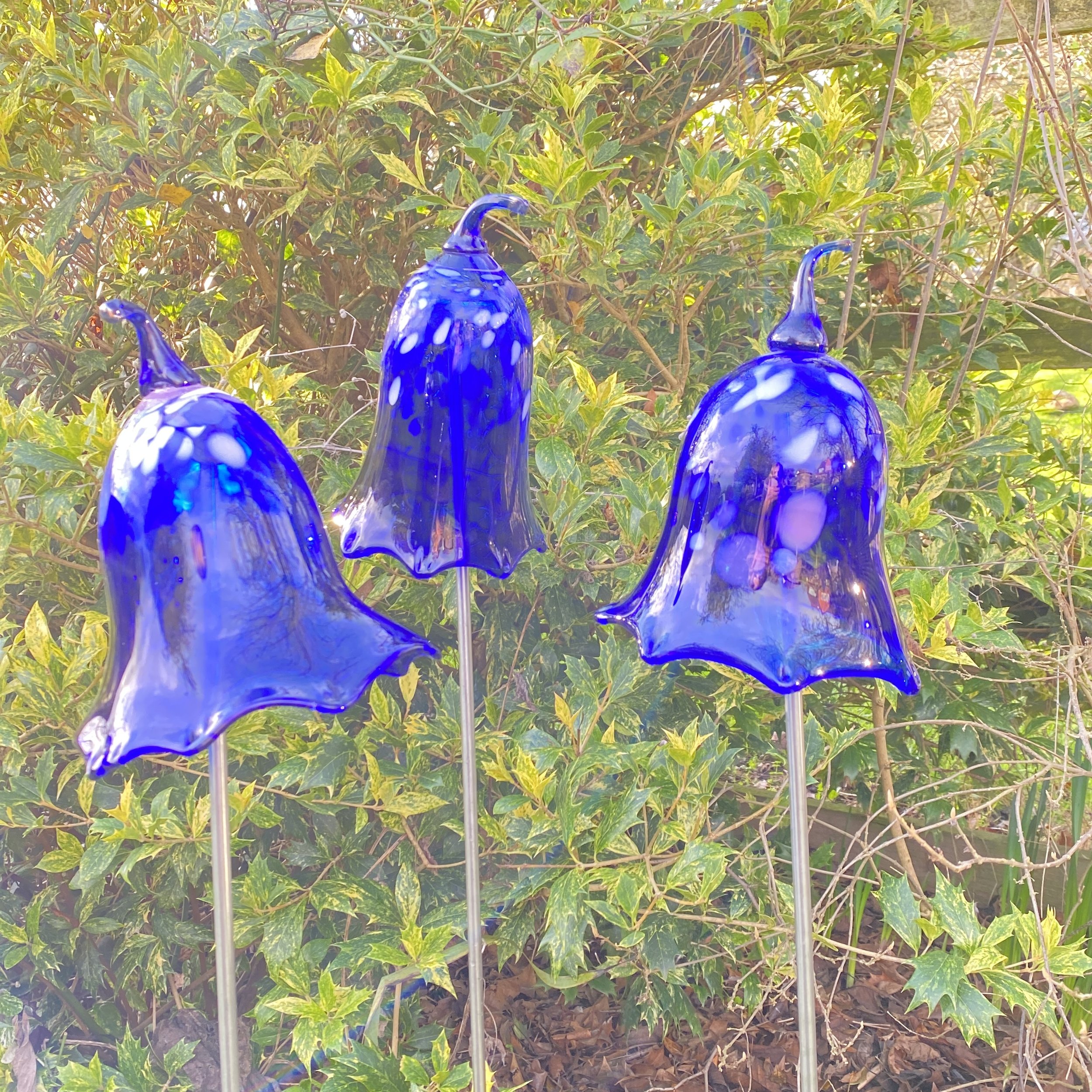 Outdoor Bluebell in Cobalt Blue by Alison Vincent