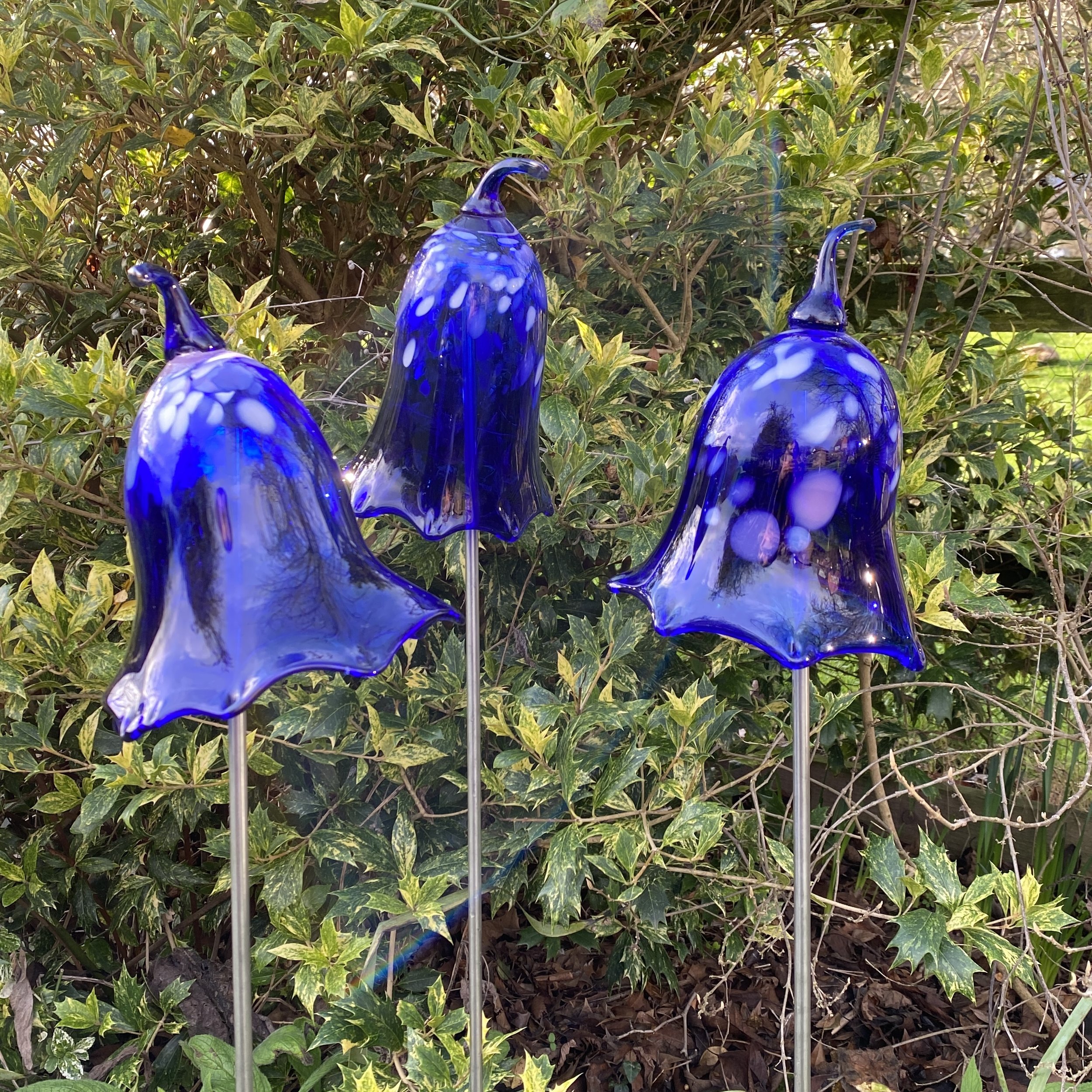 Outdoor Bluebell in Cobalt Blue by Alison Vincent