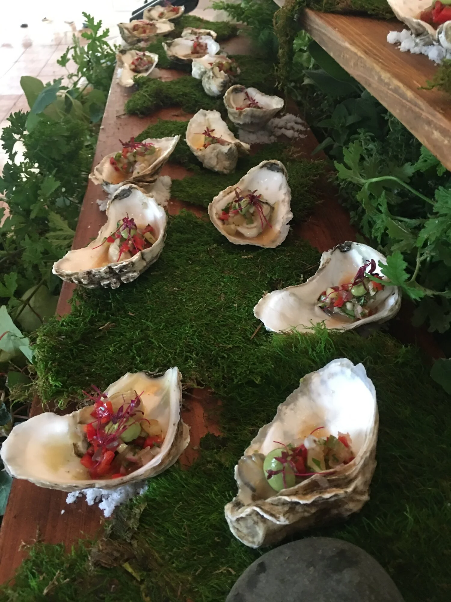 Oyster Shells - for Sex or Ear Ringing or Chickens..  &nbsp;