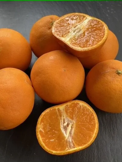 California Citrus and Churchill Pixie Tangerines