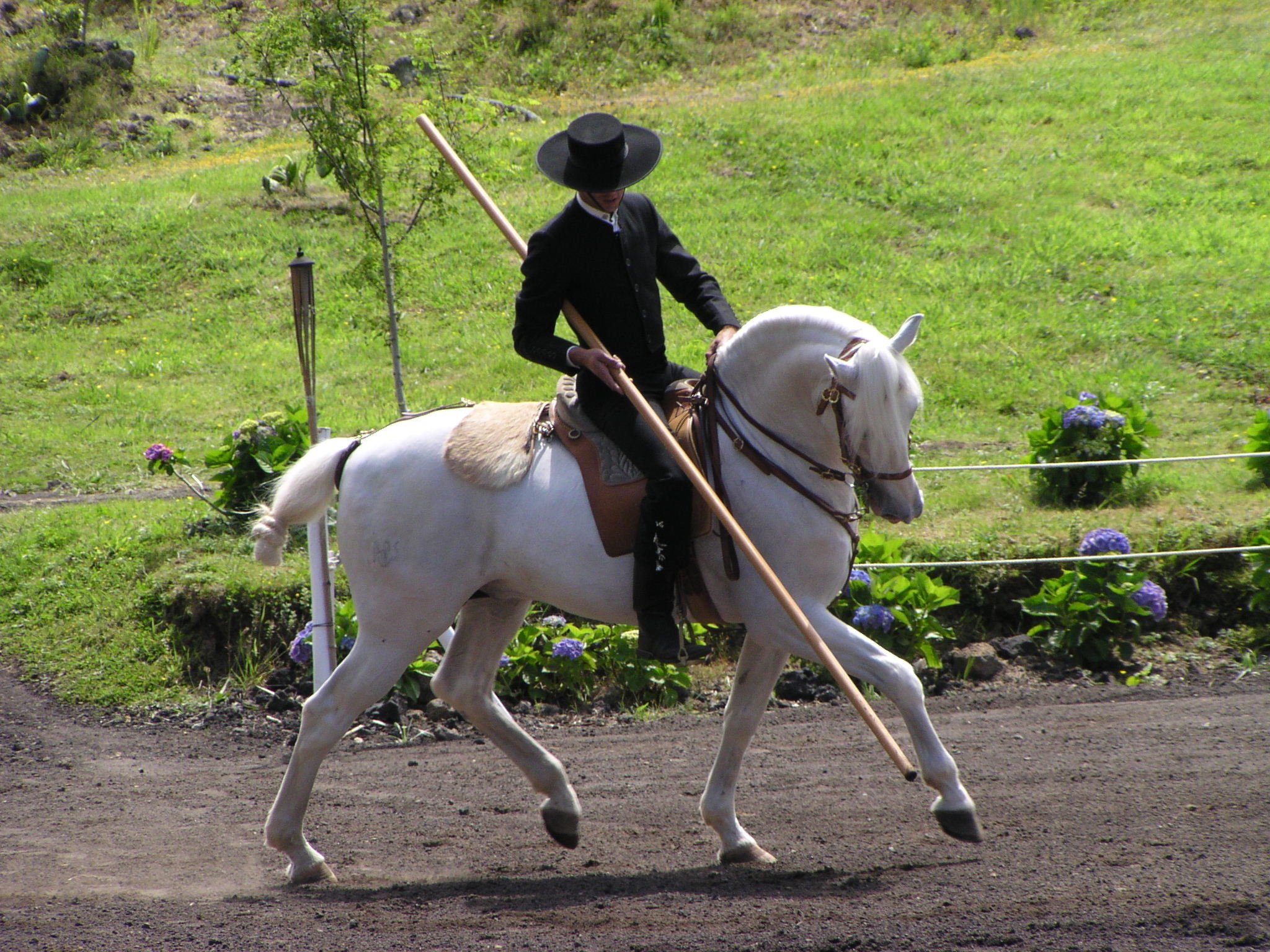 Horseshow 2.JPG