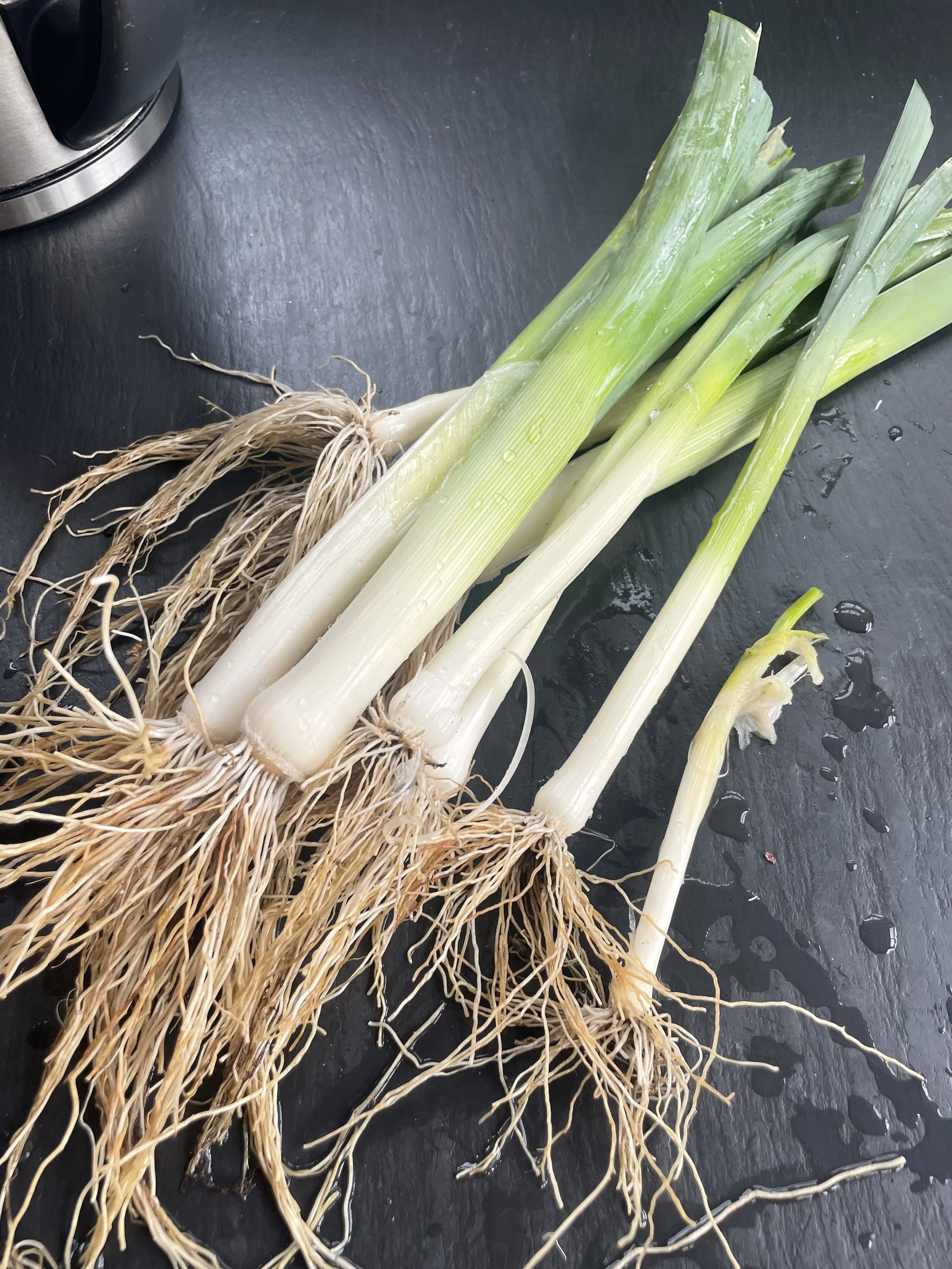 leeks.jpg