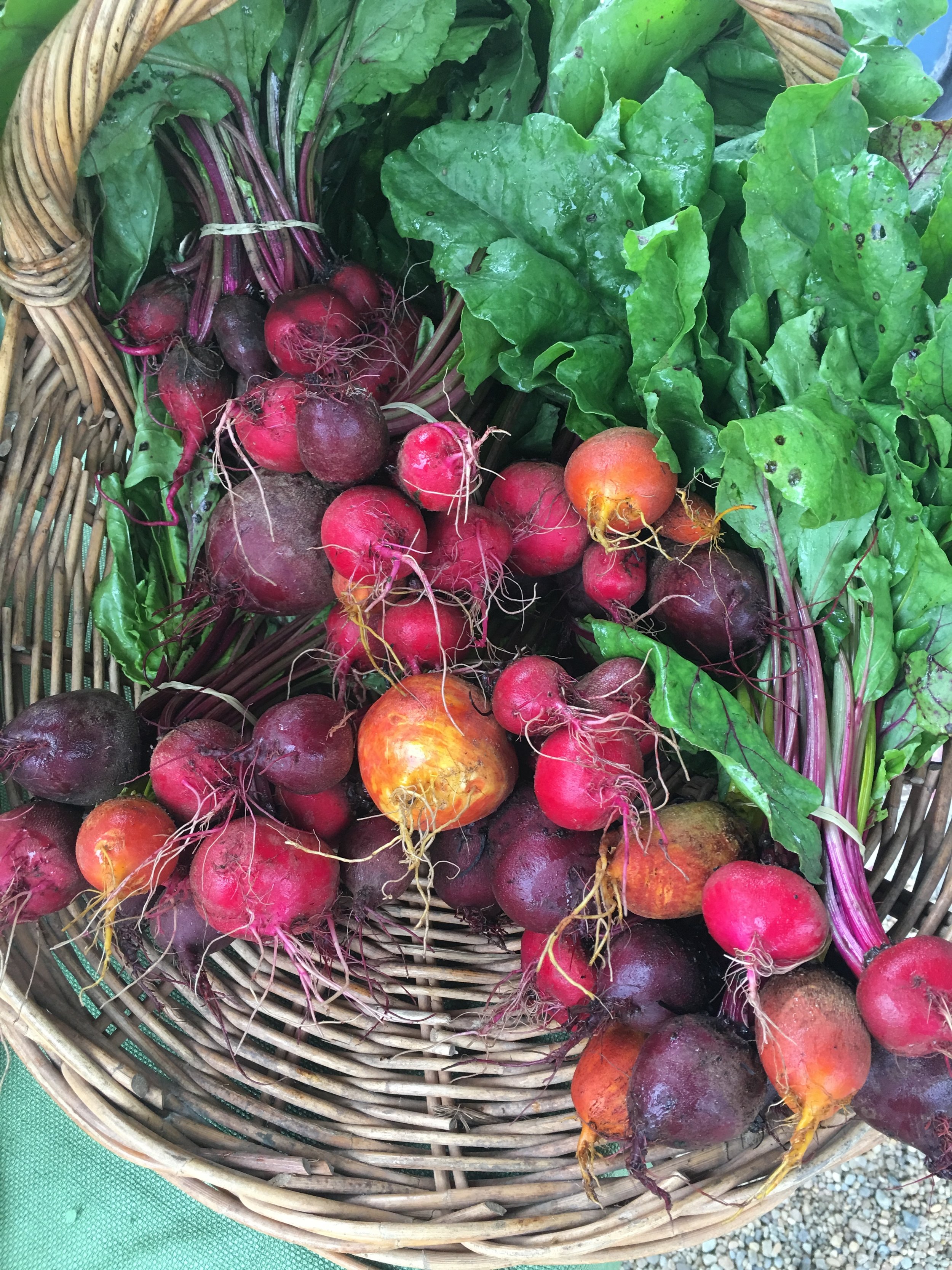IMG_2389 2beets.jpeg