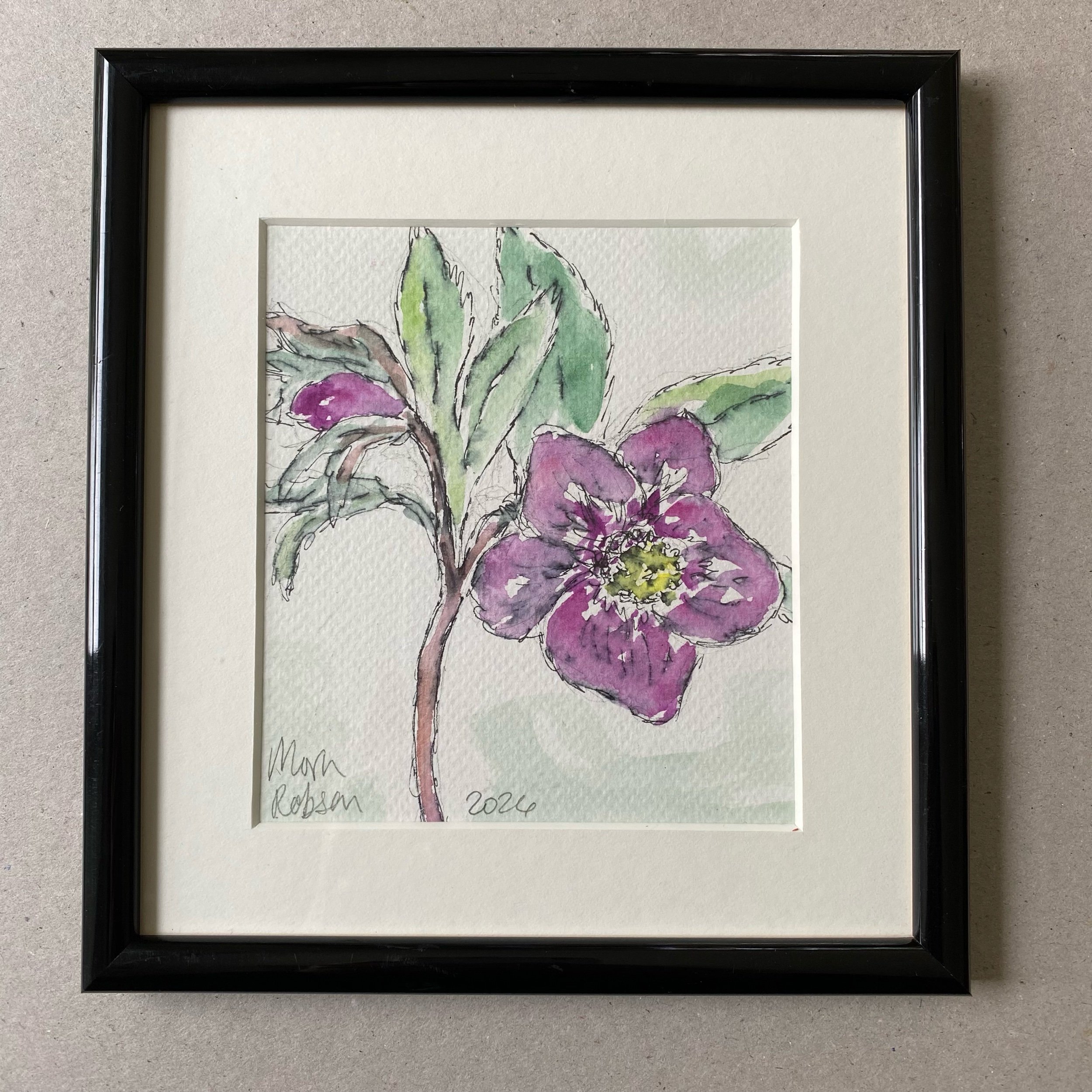 Hellebore watercolour 