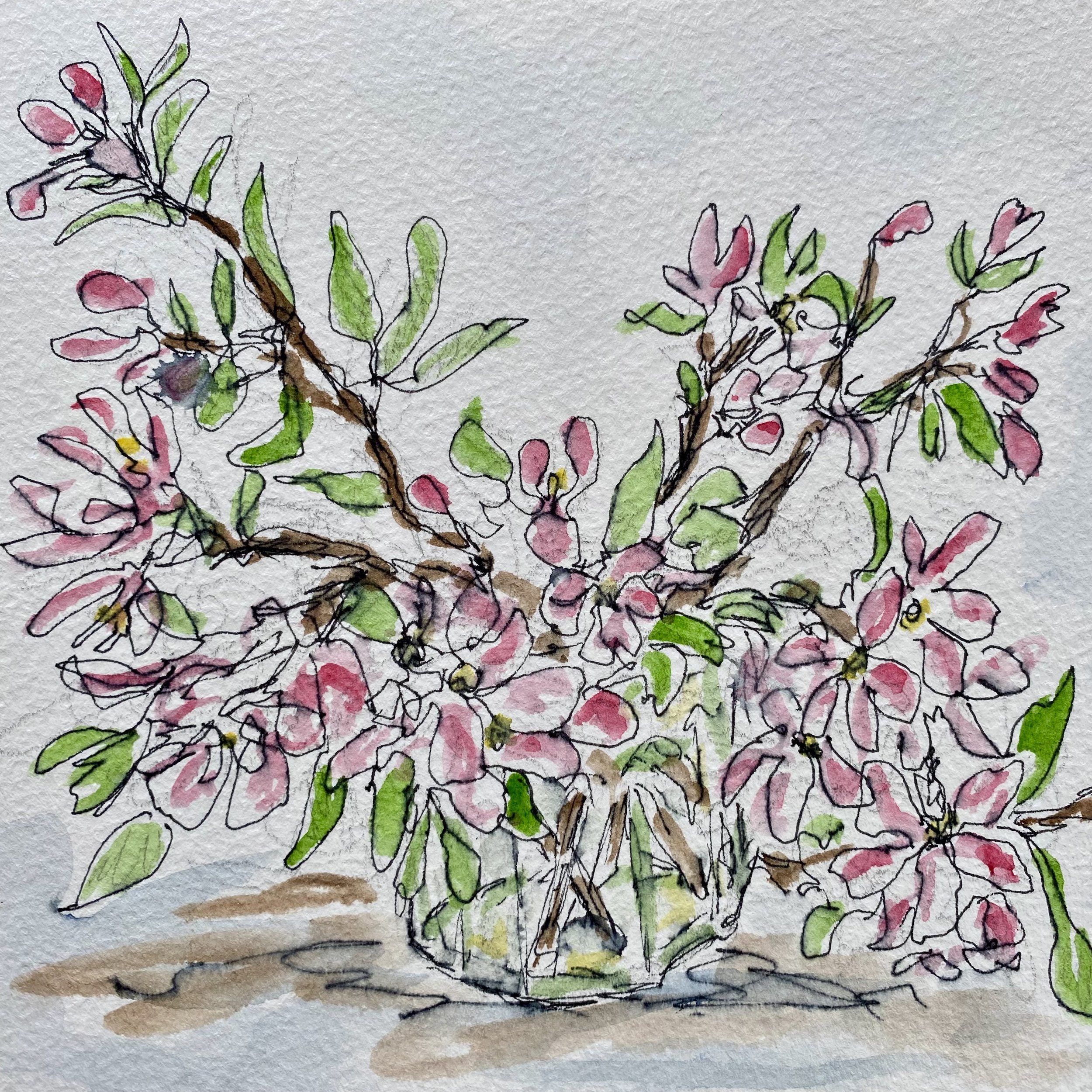 Apple Blossoms 