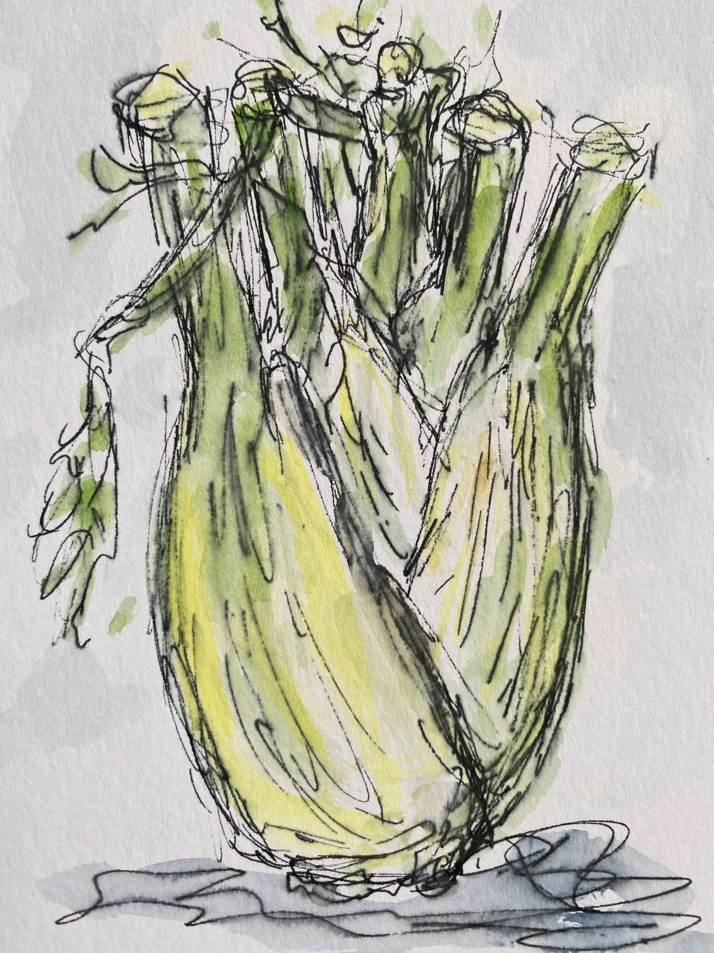 Fennel 
