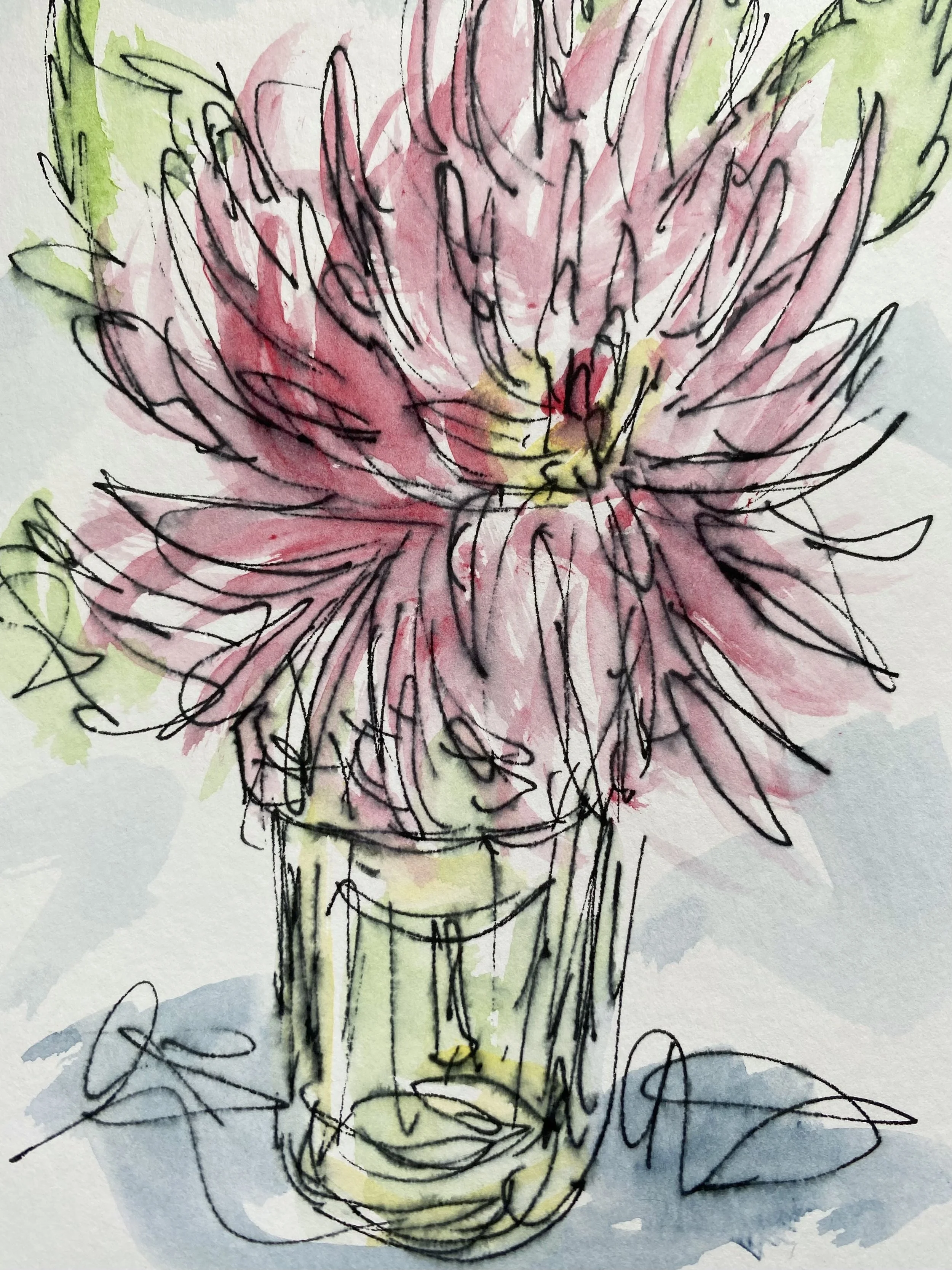 Pink Dahlia