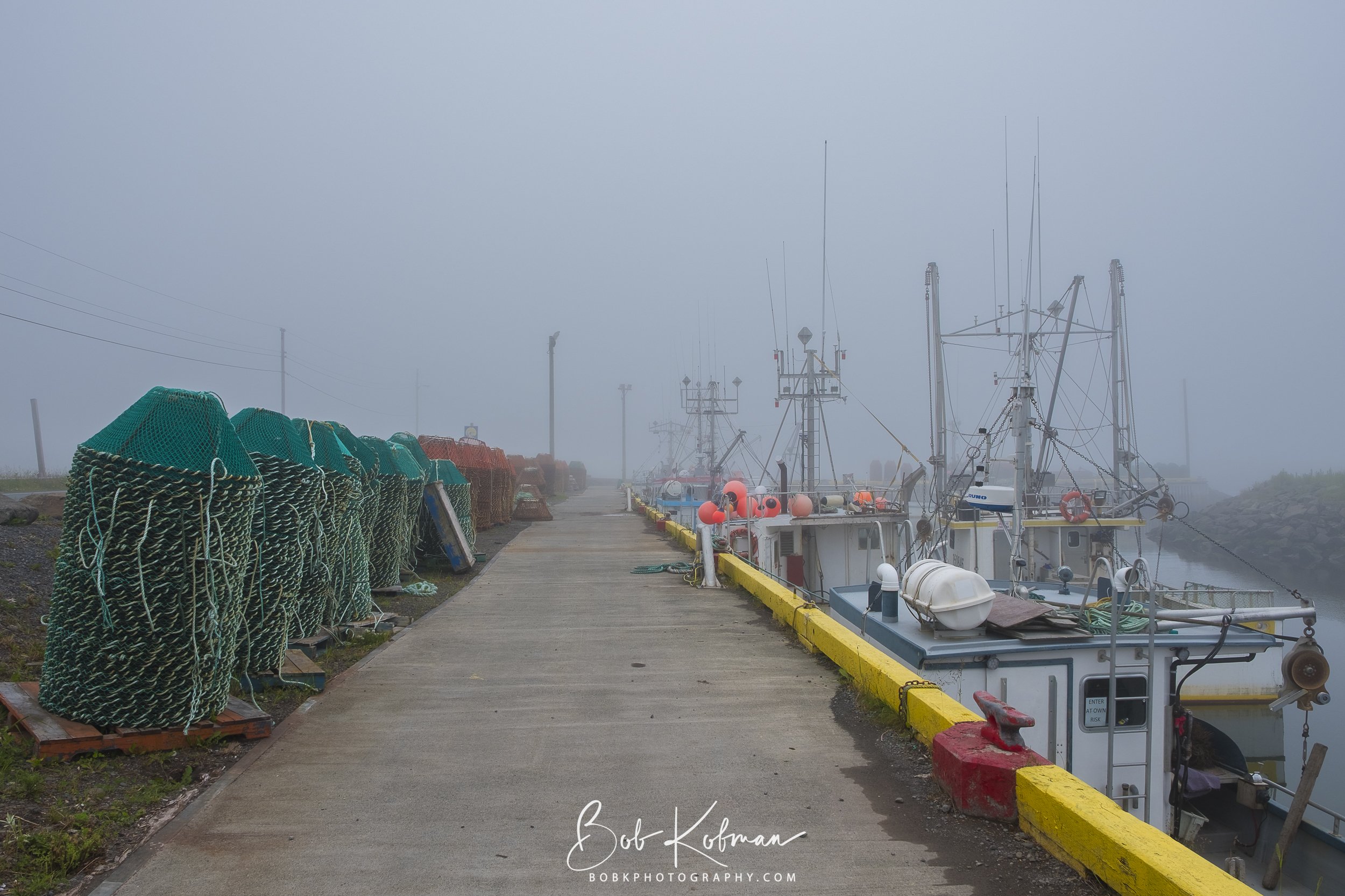 Newfoundland-2.jpg