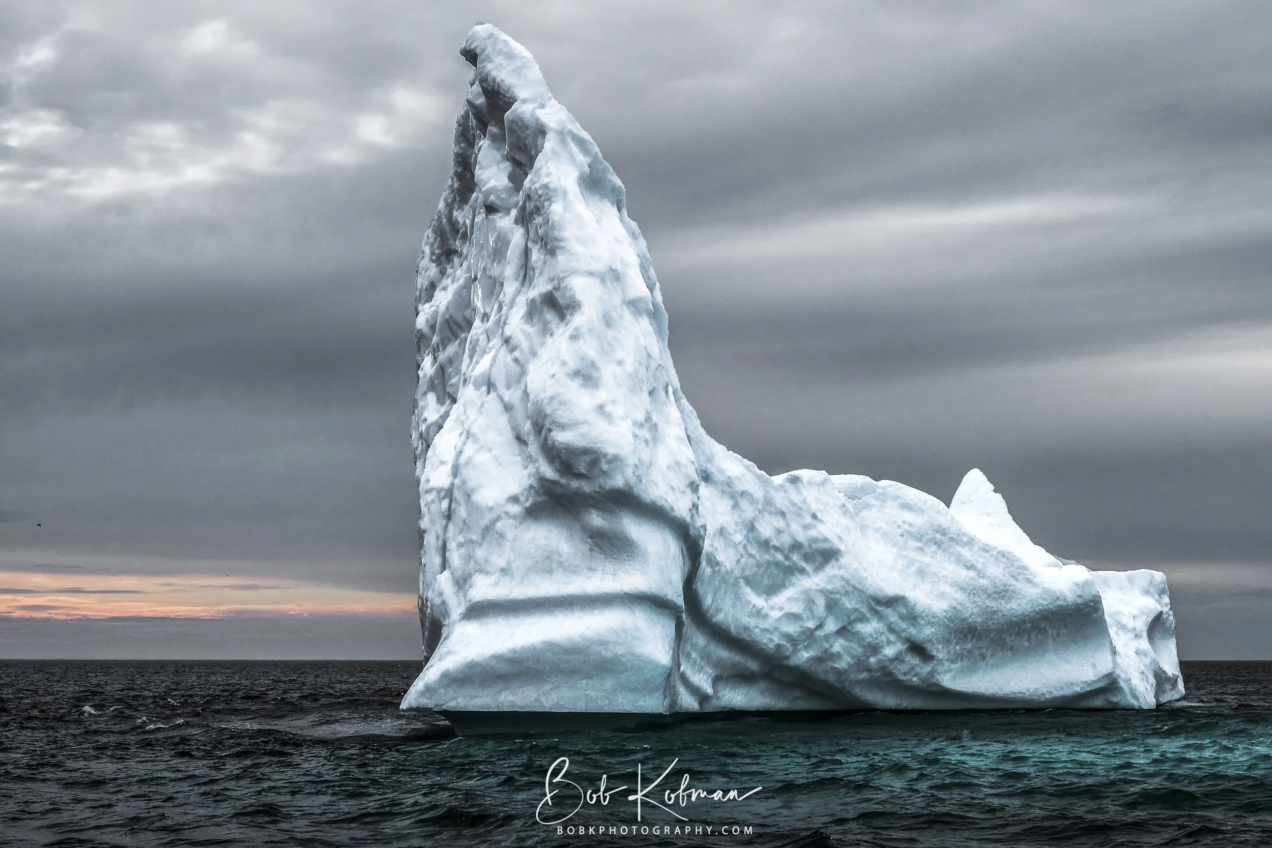 Newfoundland-9.jpg