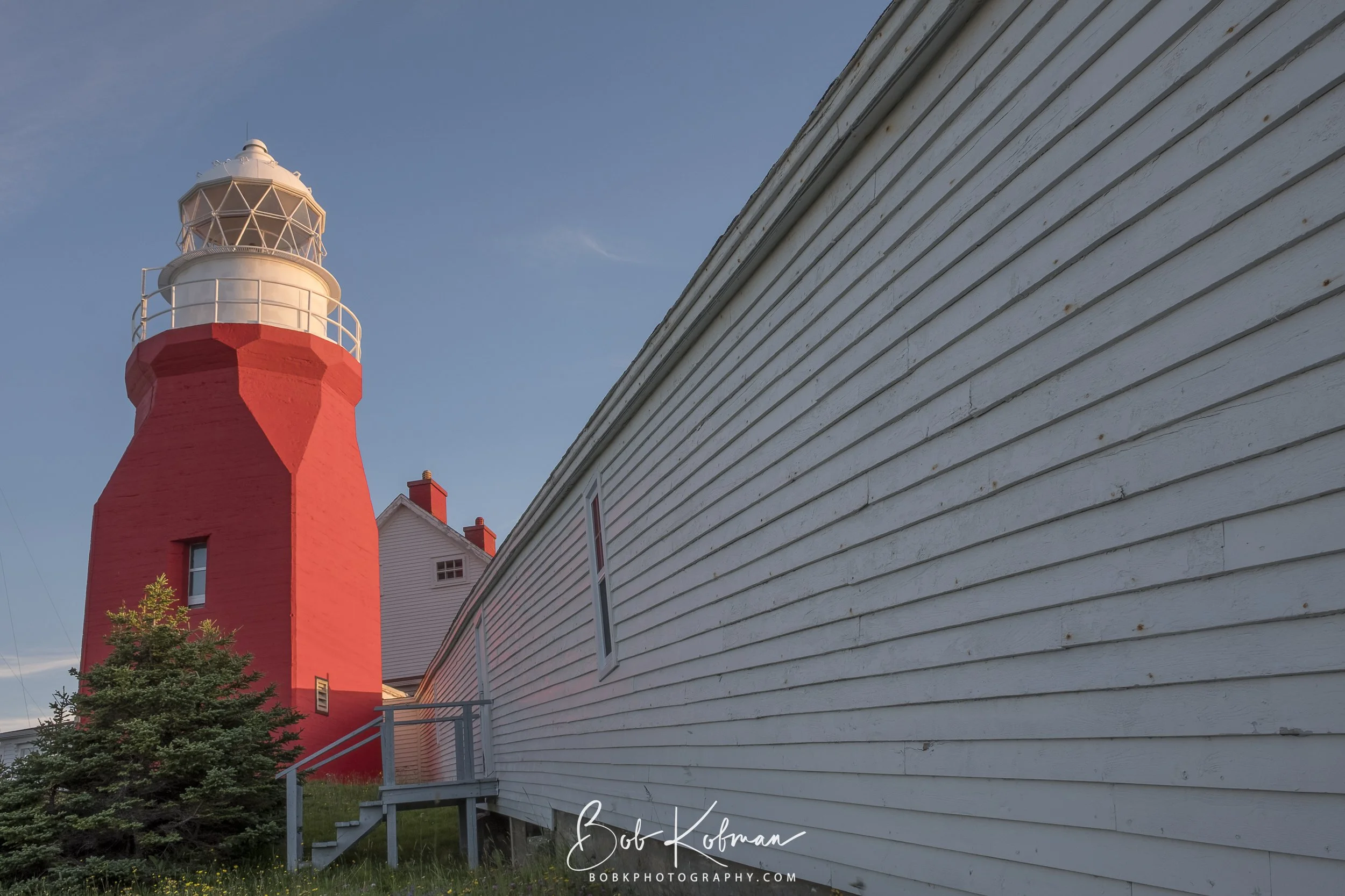 Newfoundland-3.jpg