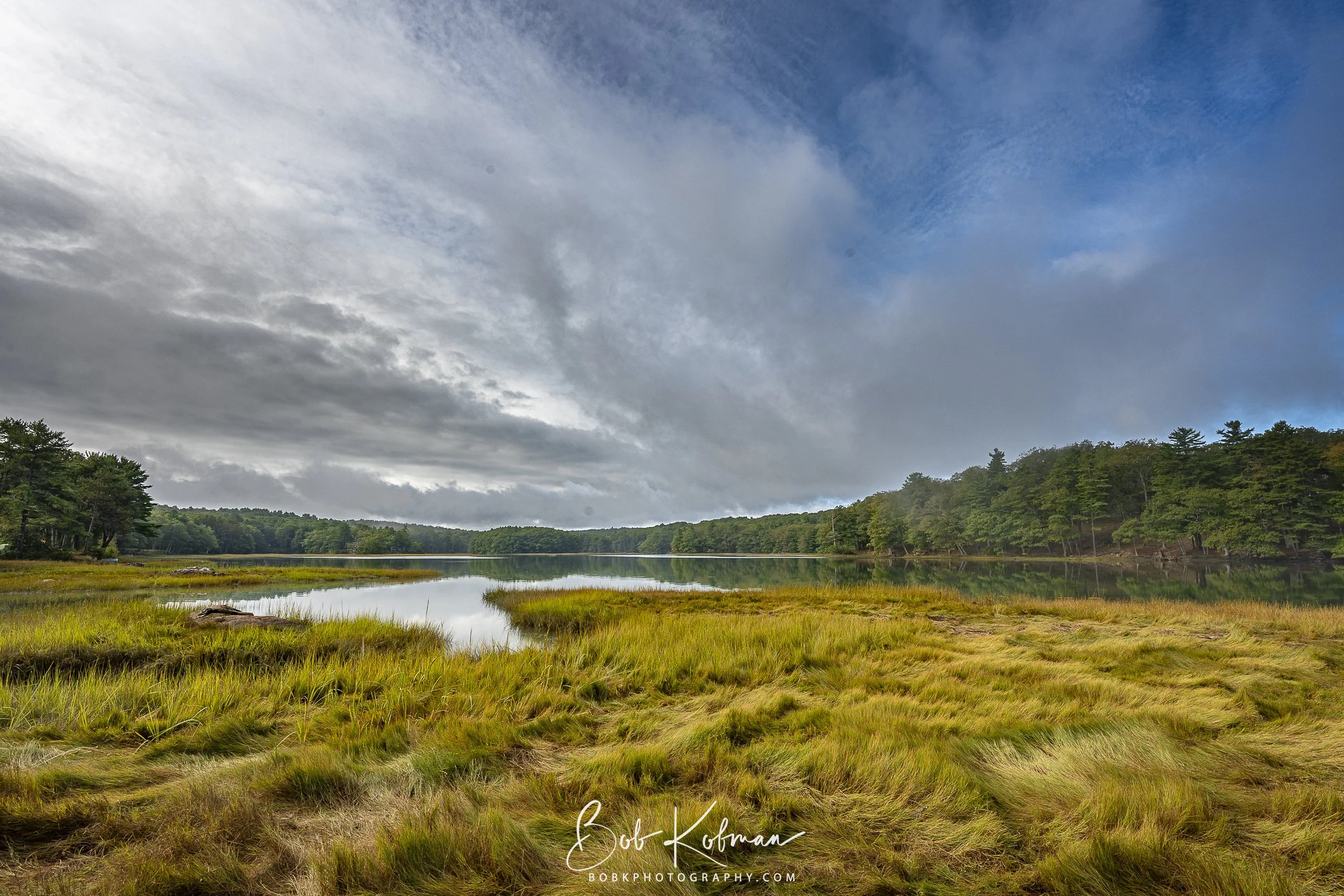 Recent-12.jpg