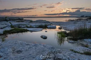 MidCoastMaine-61.webp