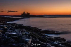 new-2.webp
