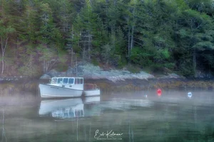 new-5.webp