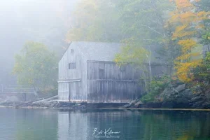 new-6.webp