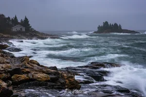 new-1103.webp